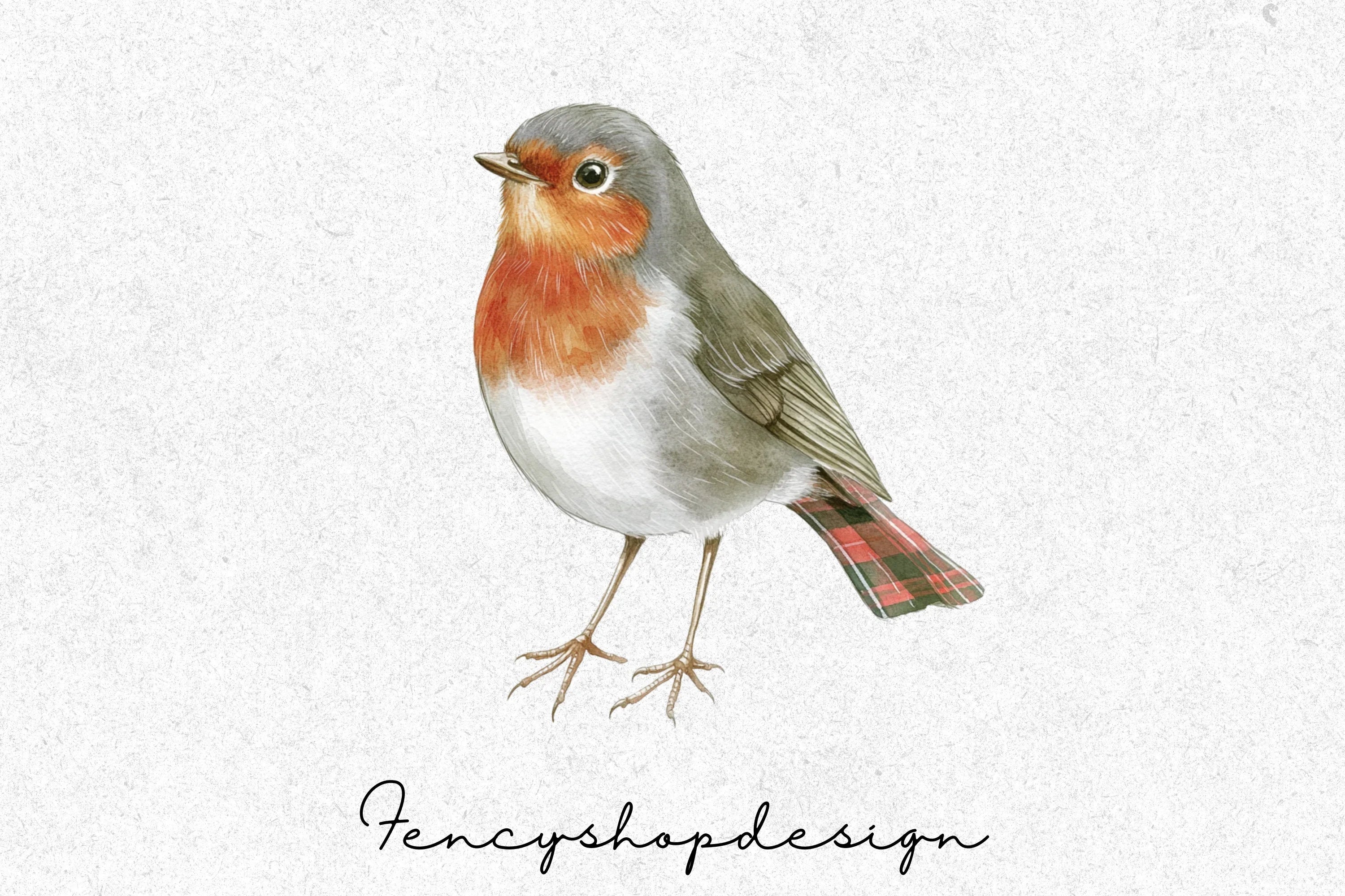 Charming Robin Clipart Bundle