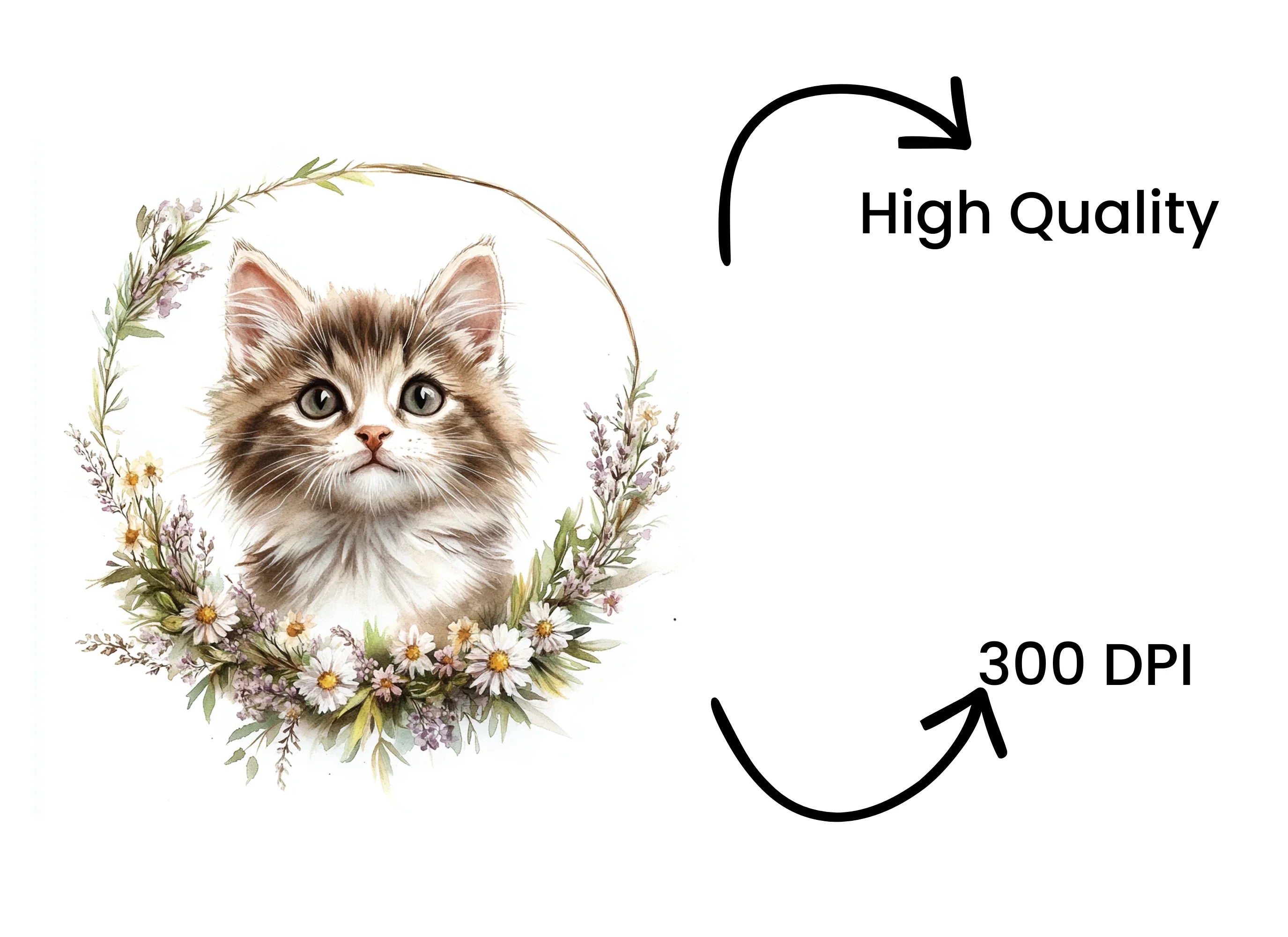 Kitten in Floral Wreath Clipart Bundle