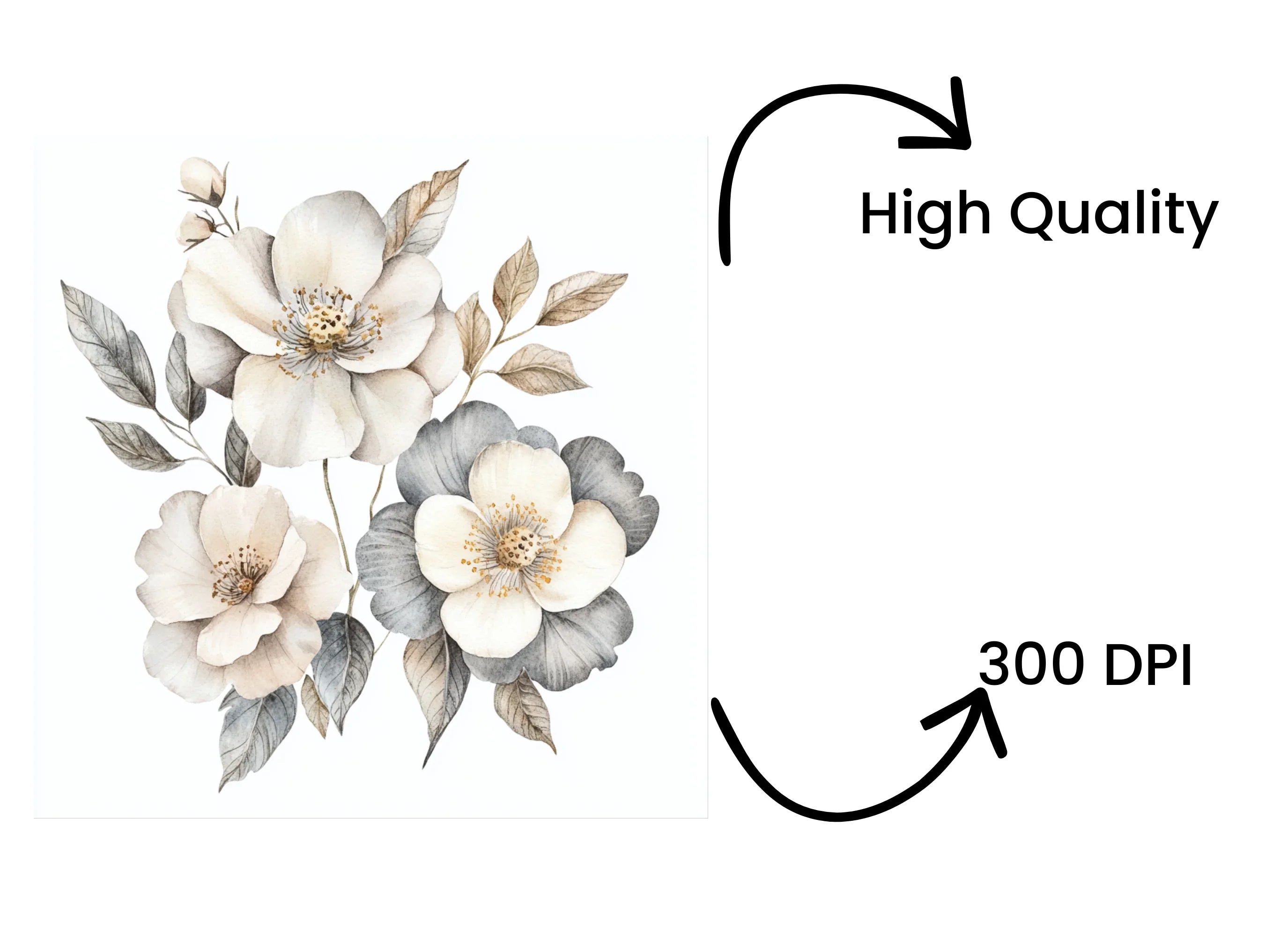 Elegant White Floral Clipart Bundle