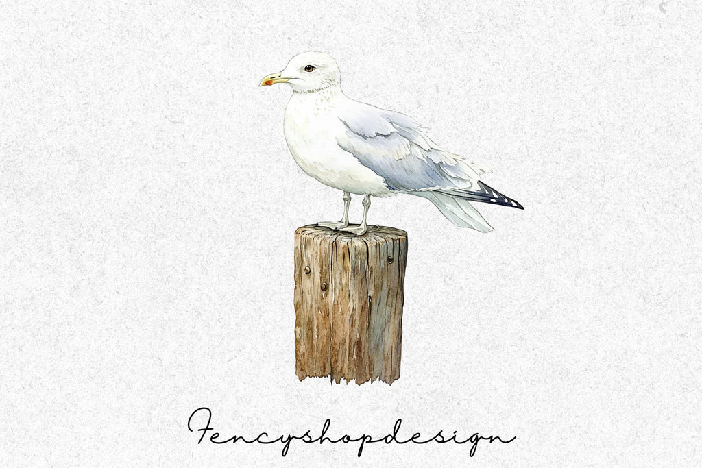 Seagull Clipart Bundle