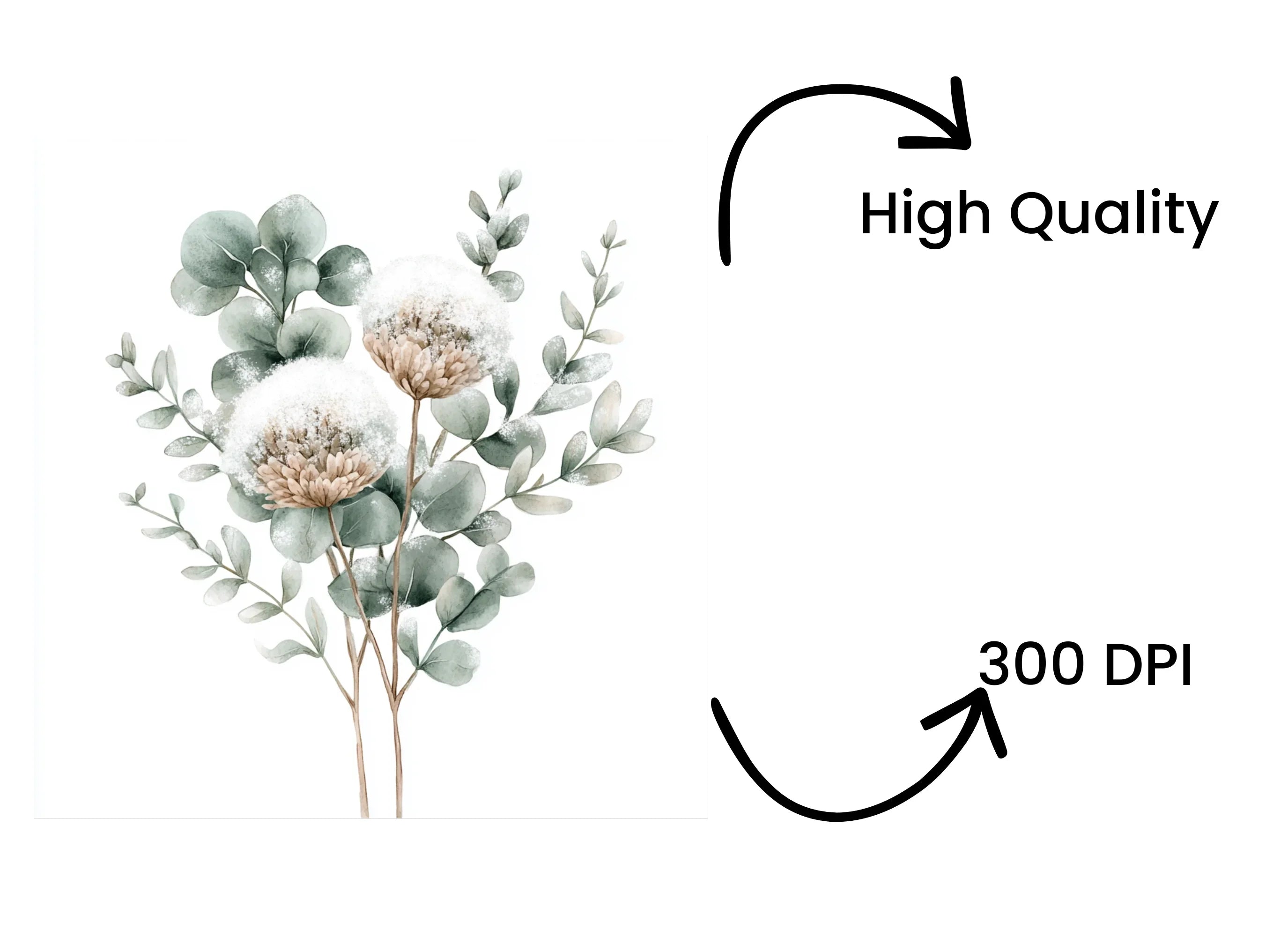 Eucalyptus Winter Flower Clipart Bundle