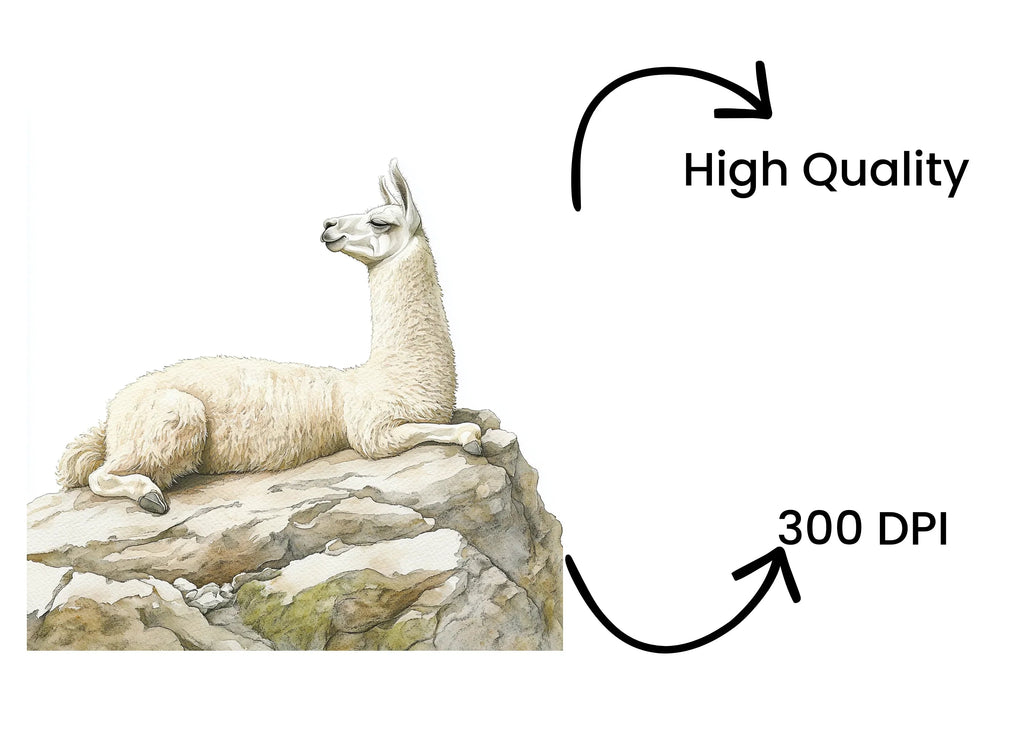 Llama on Rocks Clipart Bundle