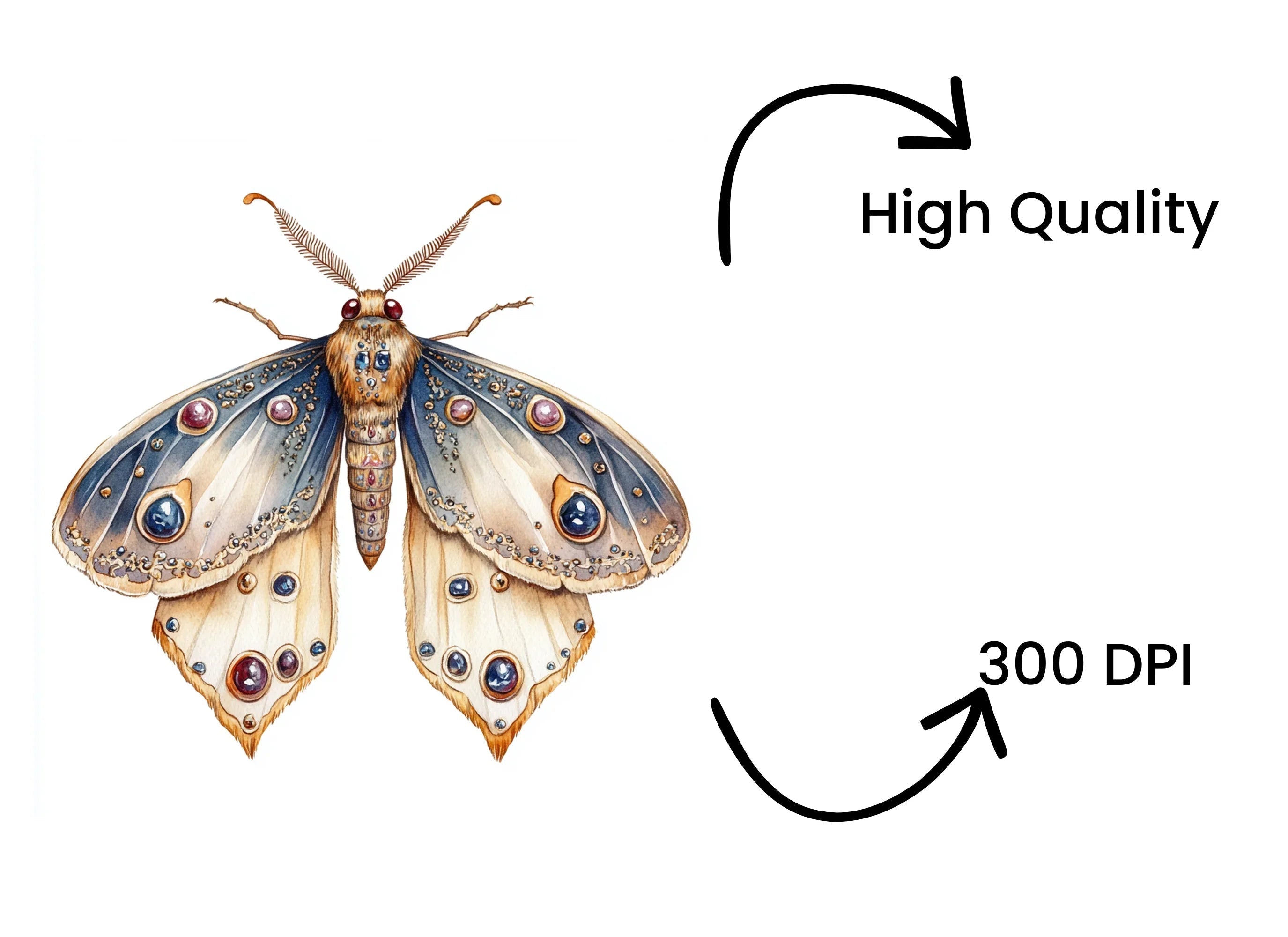 Elegant Moth Clipart Bundle