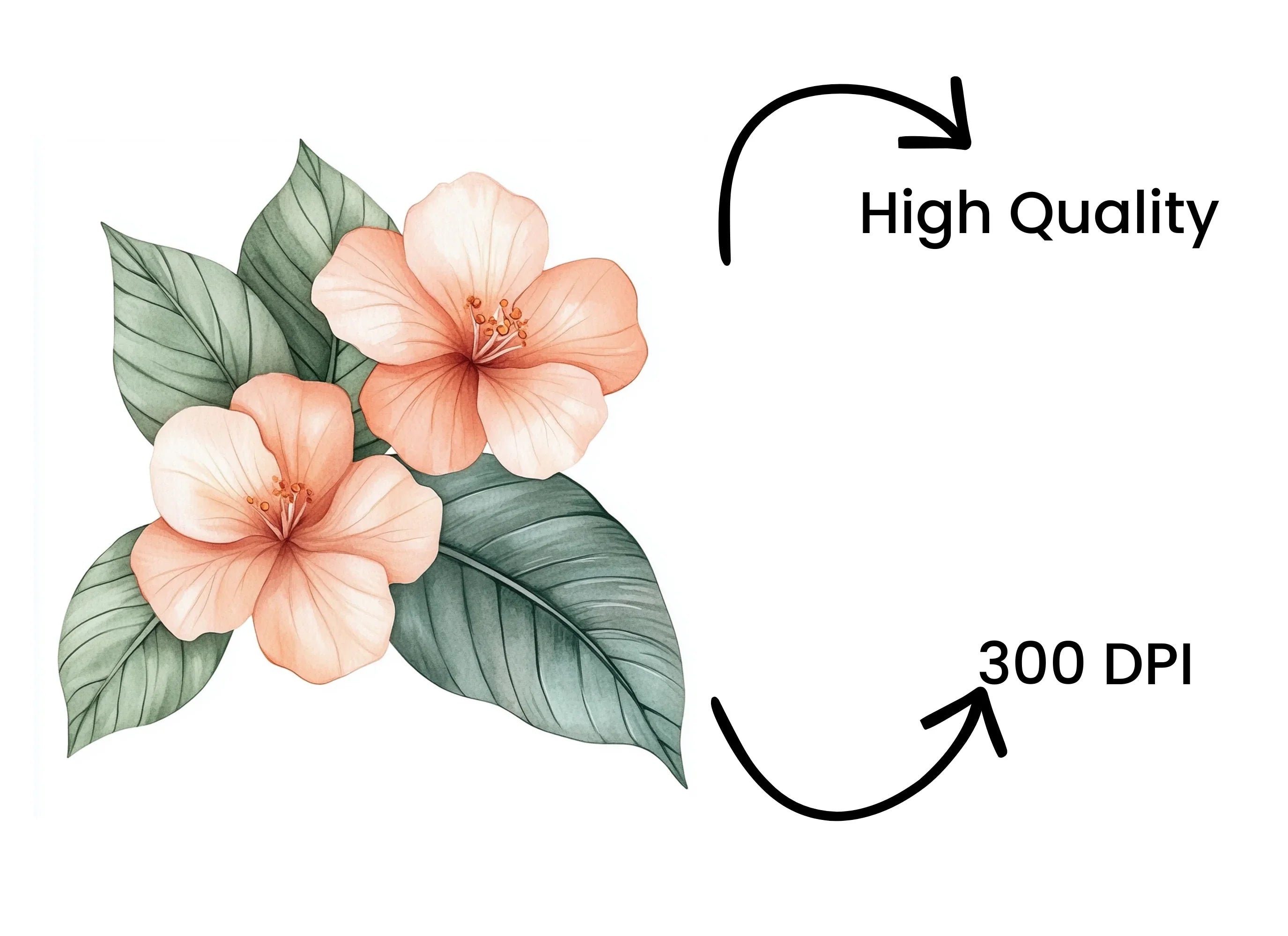 Peach Floral Clipart Bundle