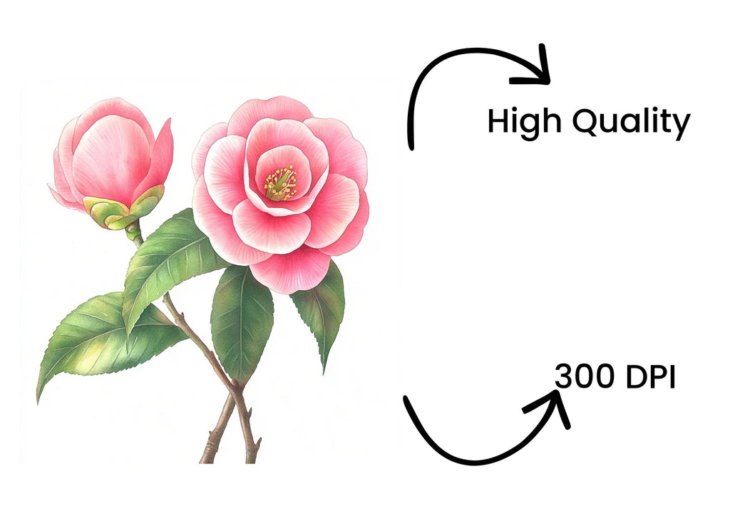 Elegant Pink Camellia Flower Clipart Bundle