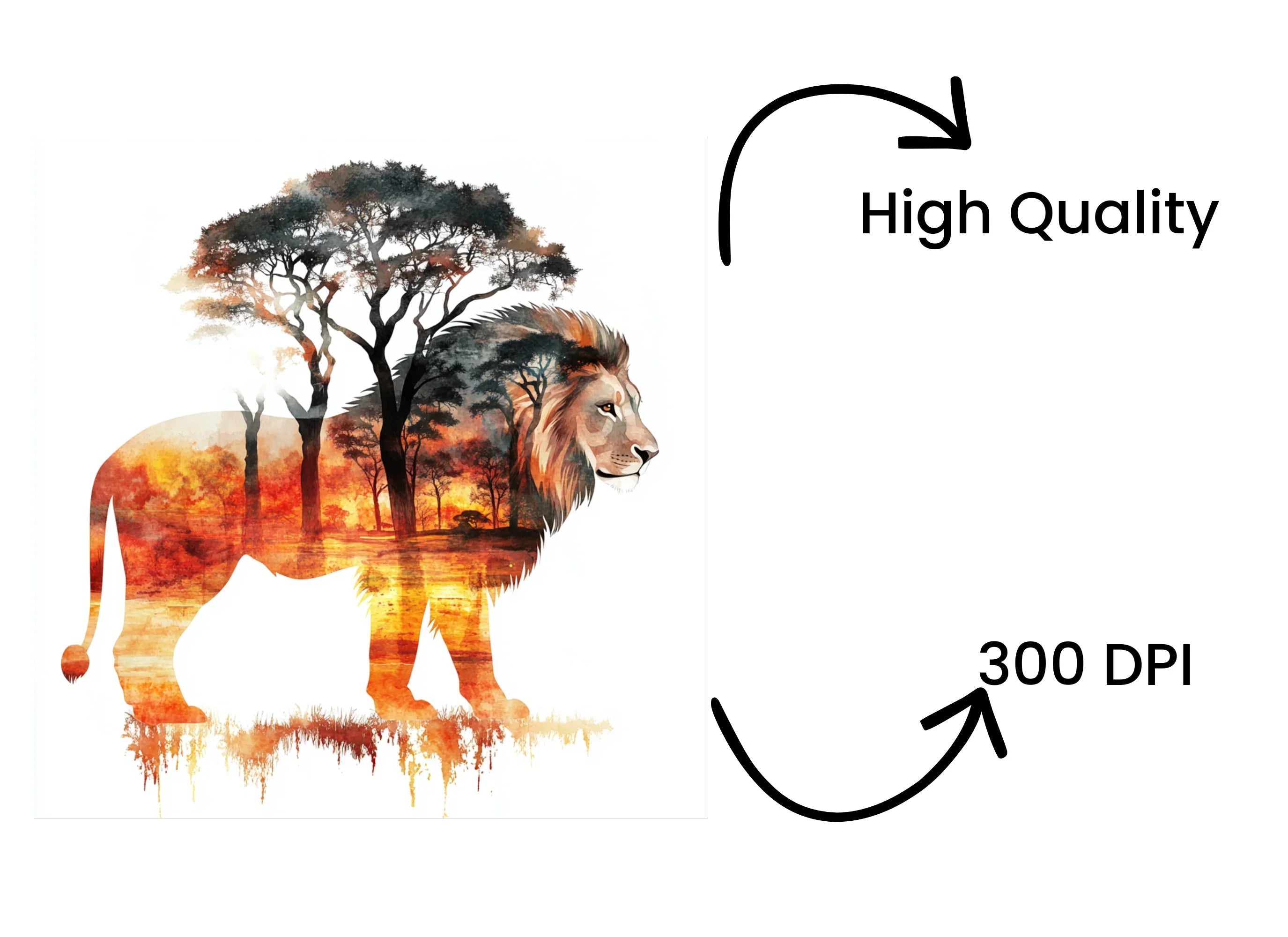 Lion and Acacia Tree Clipart Bundle