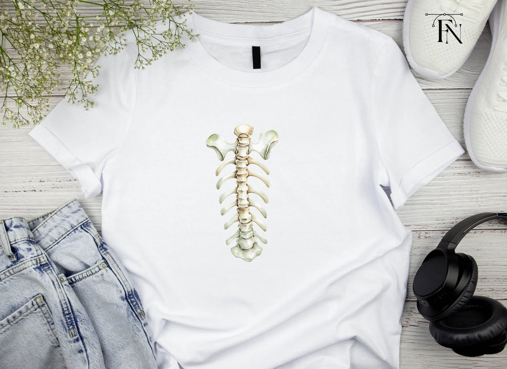 Human Spine and Ribs Clipart Bundle