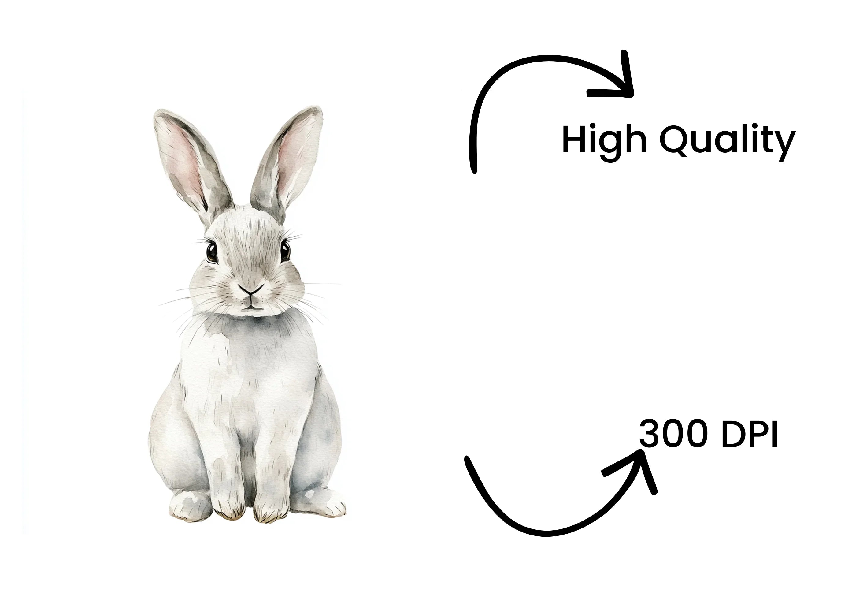 Cute Bunny Rabbit Clipart Bundle