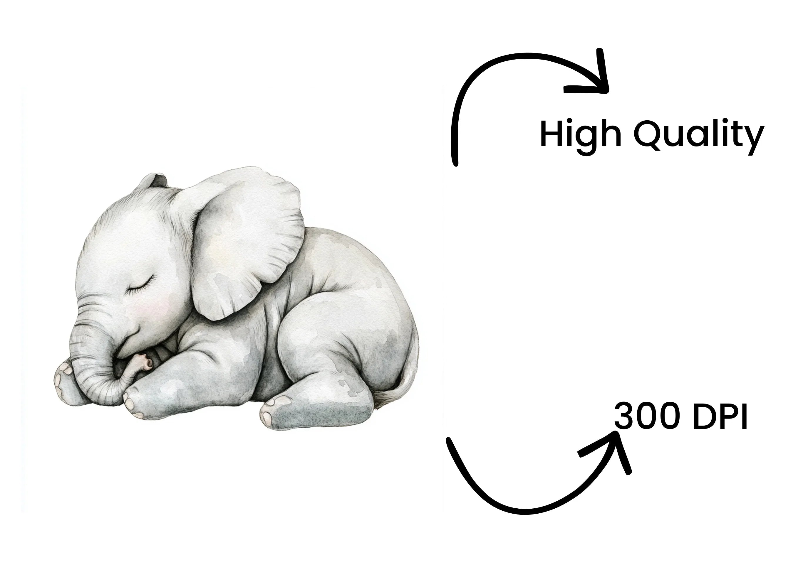 Sleeping Baby Elephant Clipart Bundle
