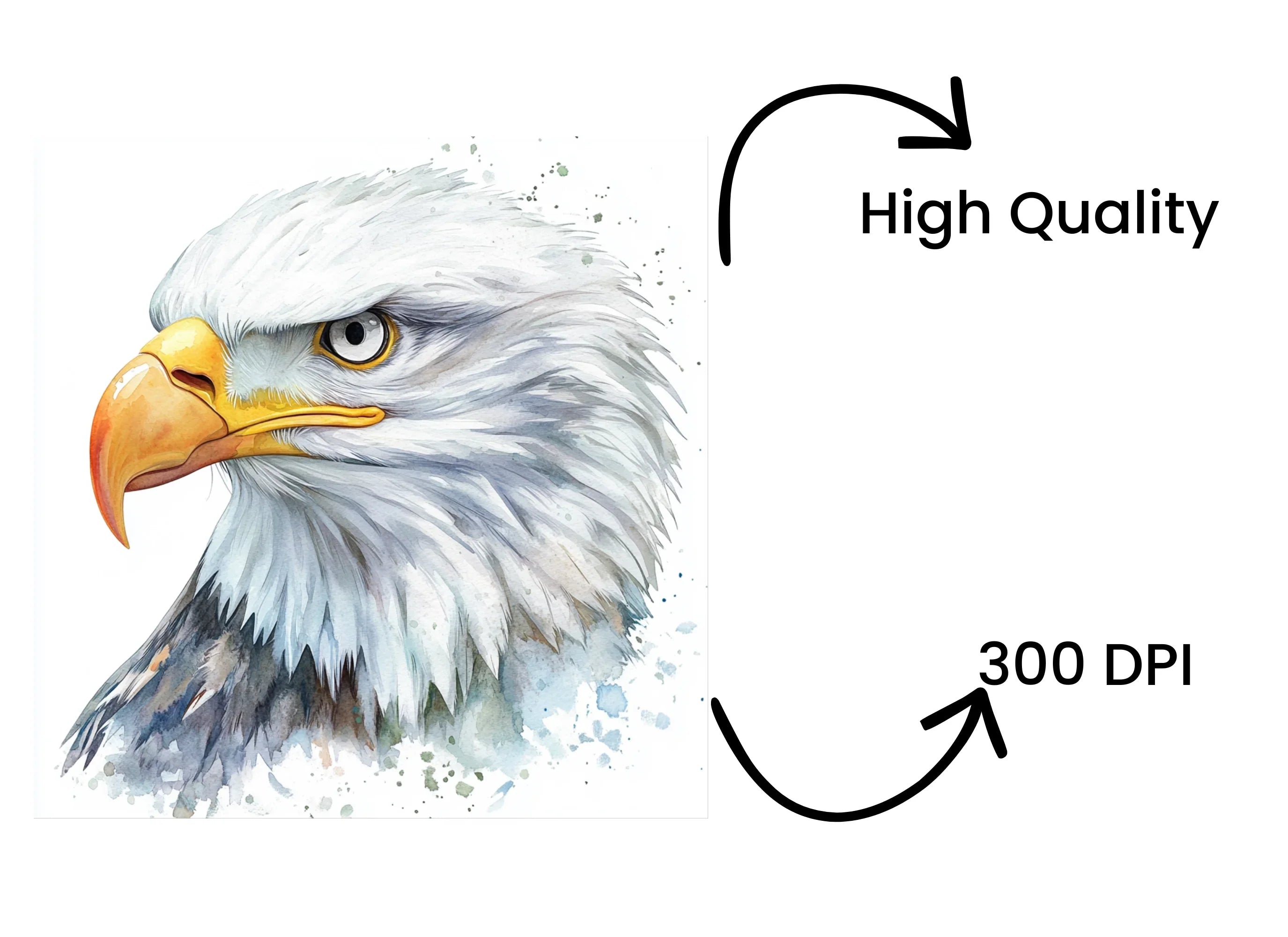 Majestic Eagle Head Clipart Bundle