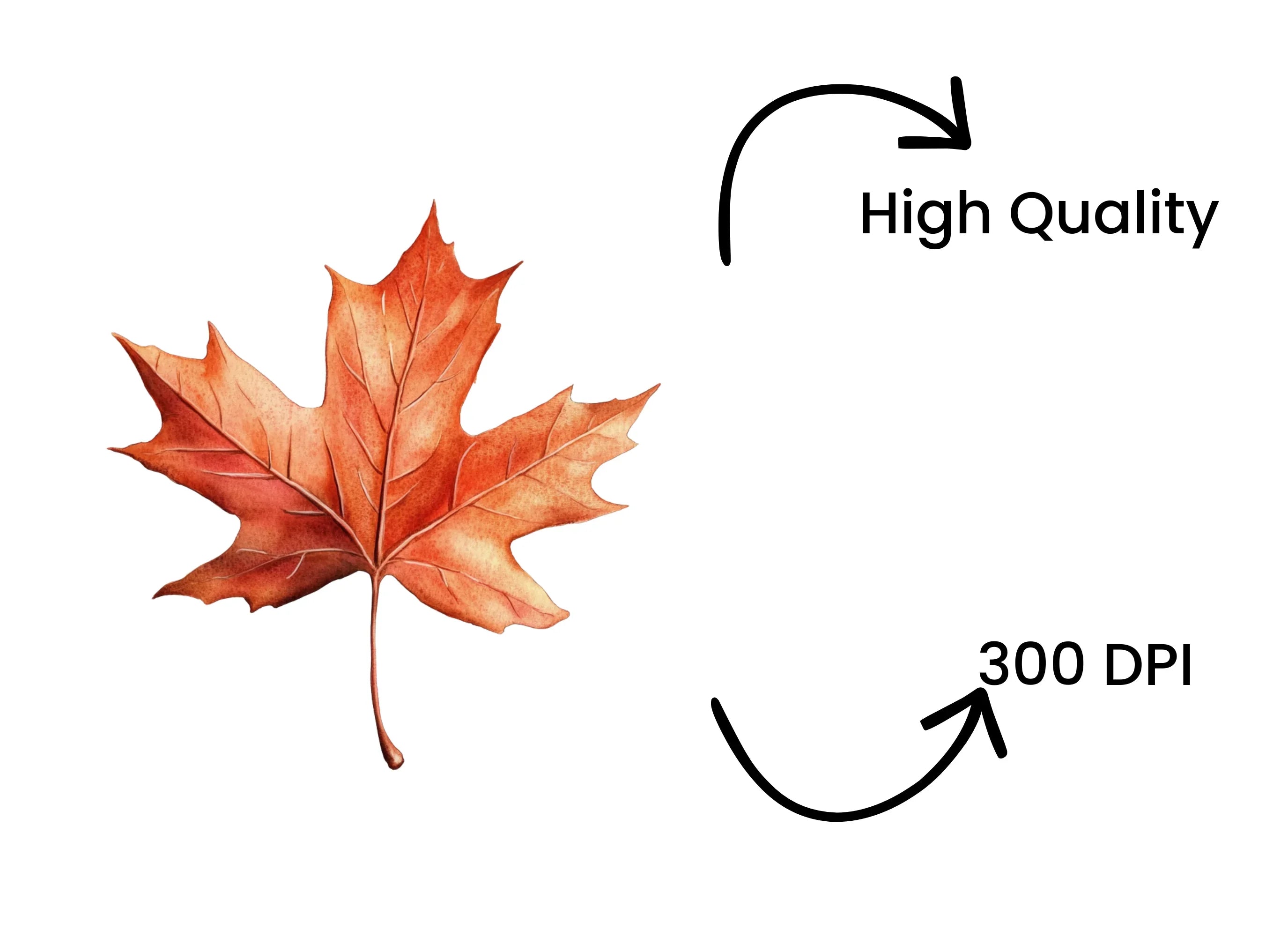 Autumn Maple Leaves Clipart Bundle