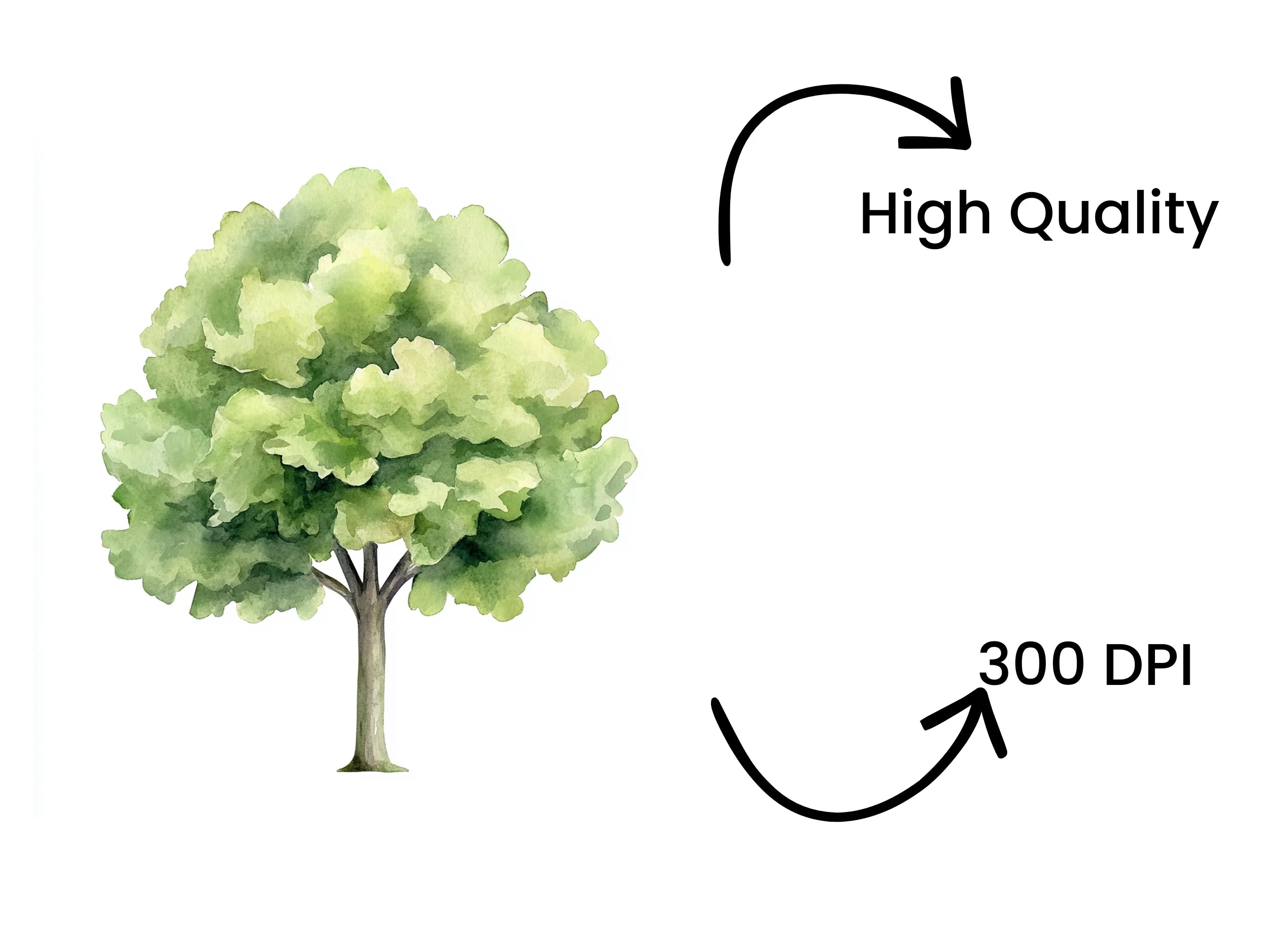 Green Tree Clipart Bundle