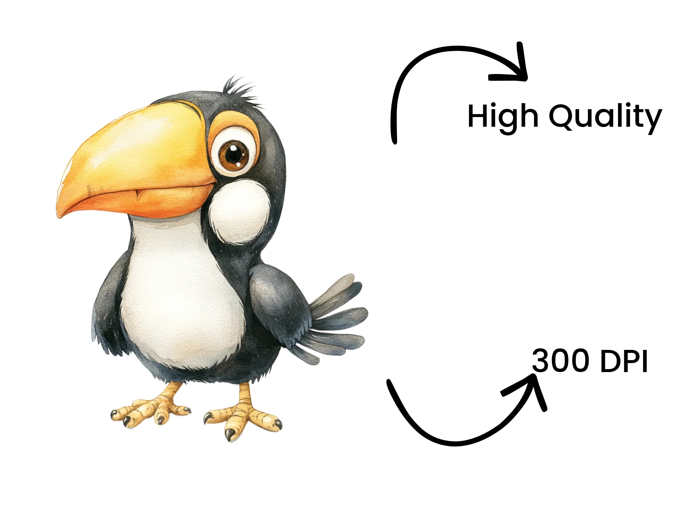 Cute Toucan Bird Clipart Bundle