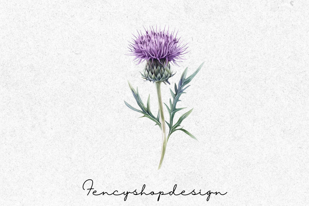 Scottish Thistle Clipart Bundle