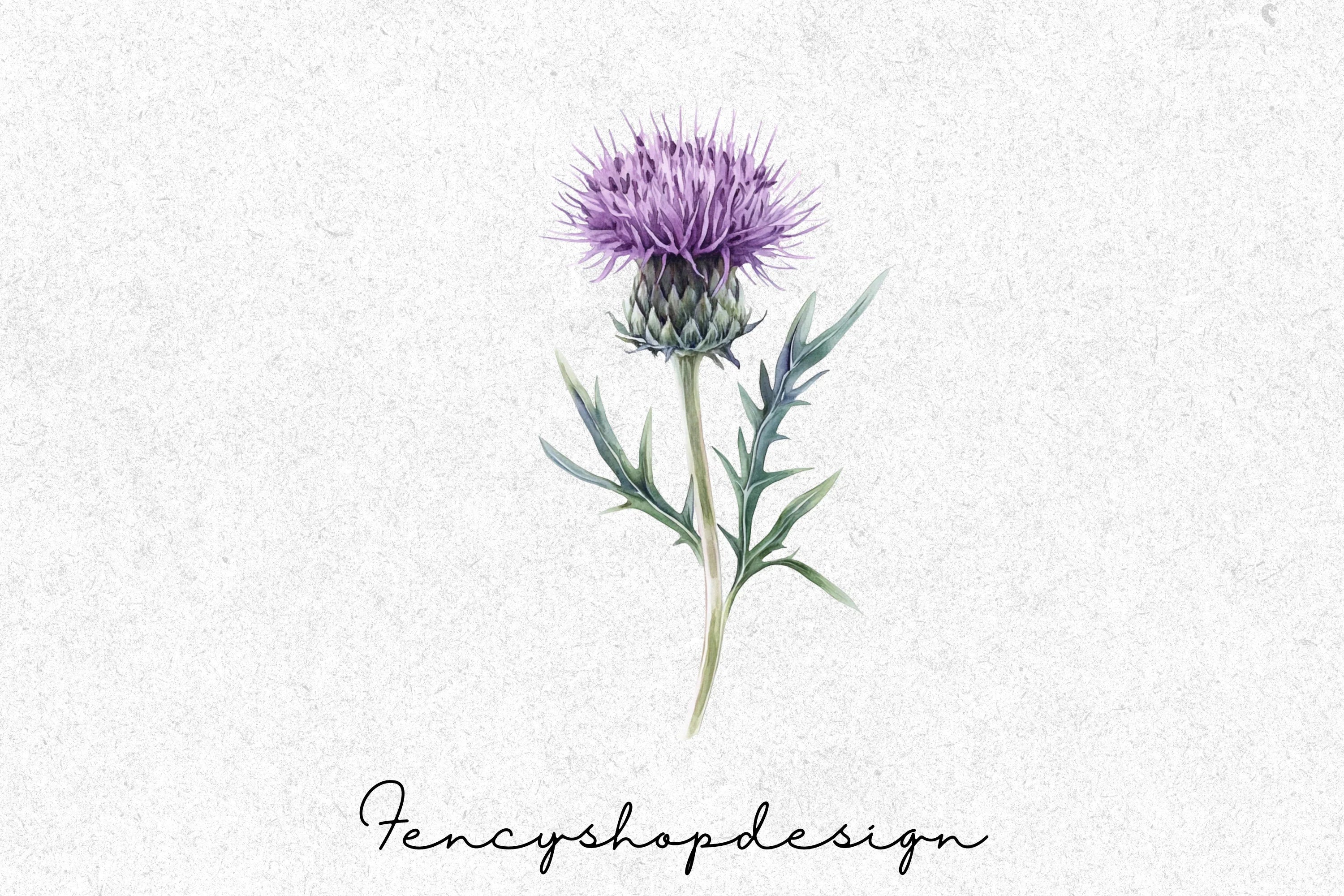 Scottish Thistle Clipart Bundle