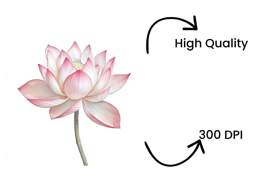 Elegant Pink Lotus Flower Clipart Bundle