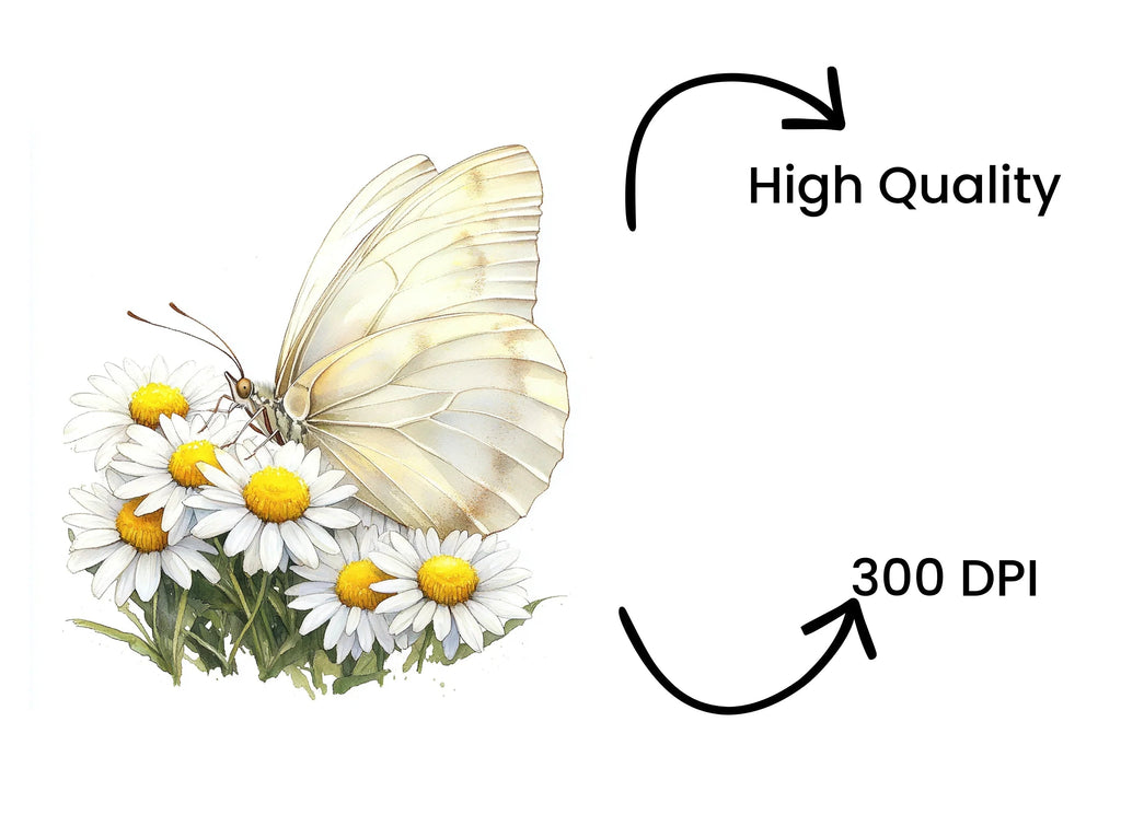Elegant White Butterfly Daisy Clipart Bundle