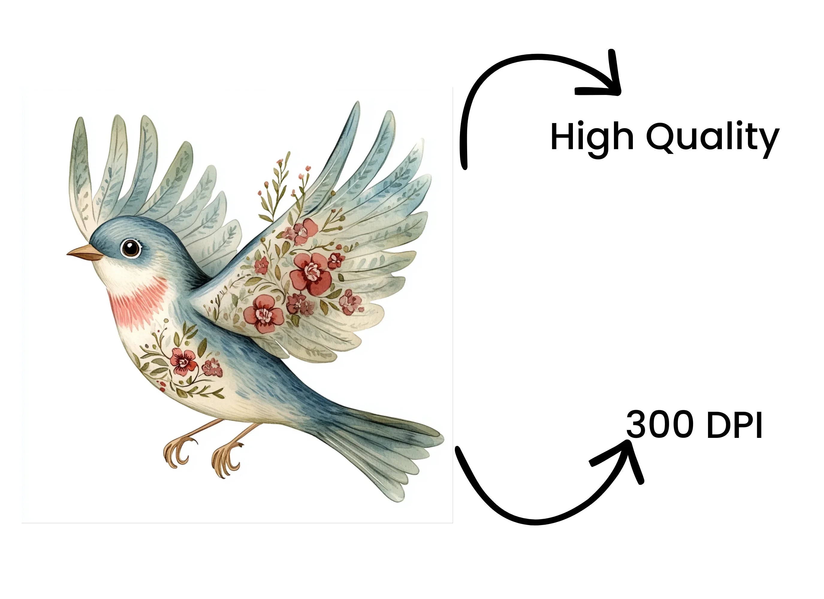 Floral Birds Clipart Bundle