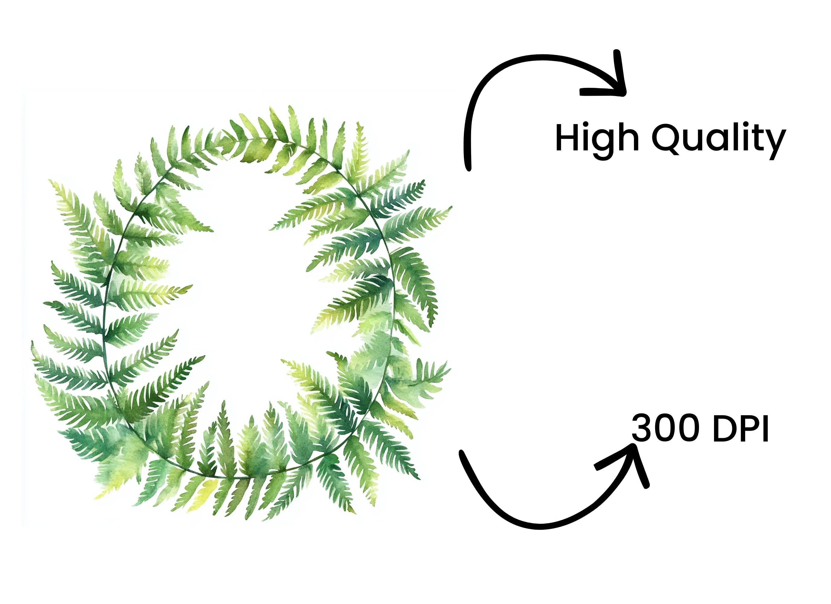 Fern Wreath Clipart Bundle