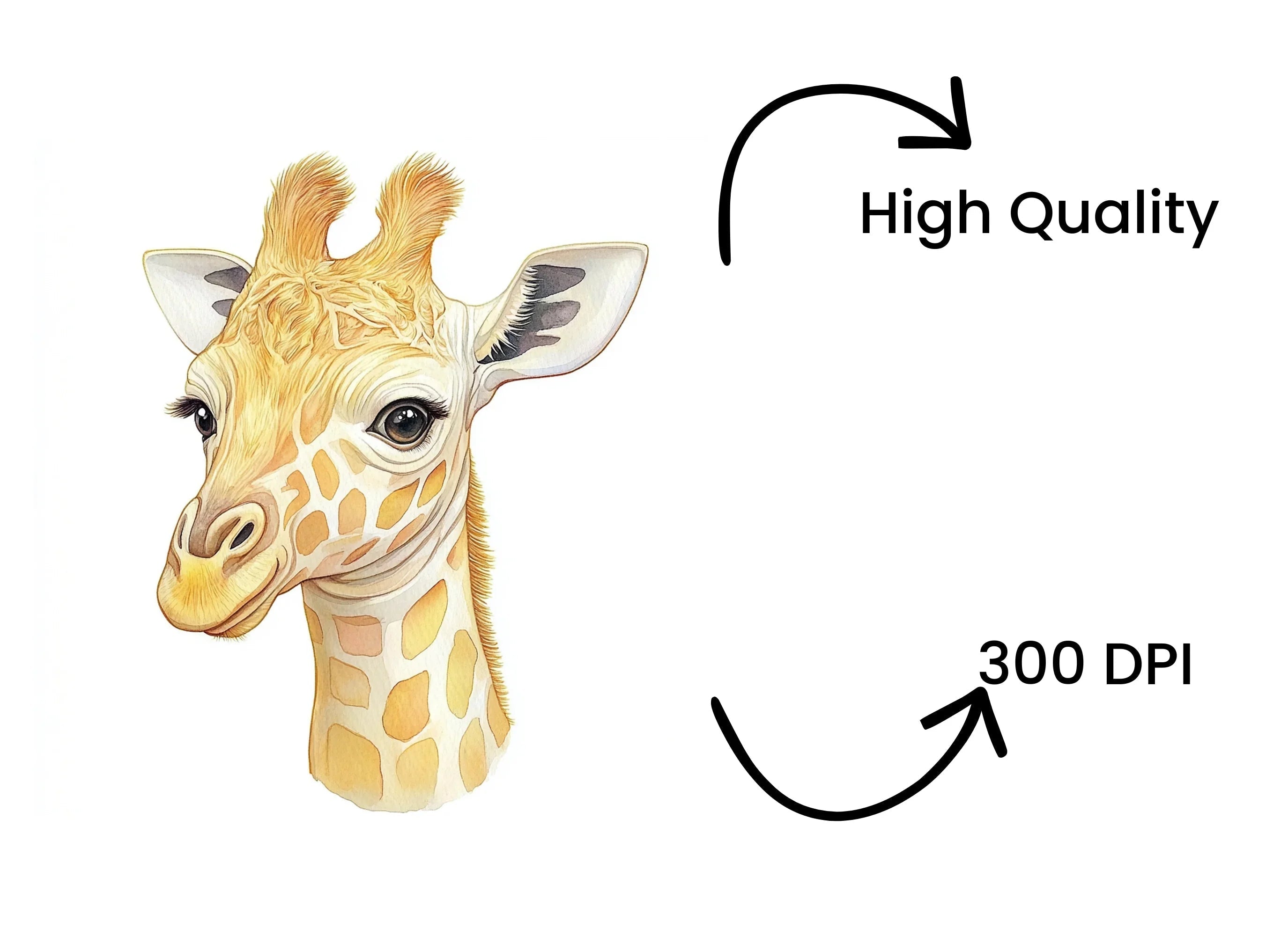 Adorable Baby Giraffe Head Clipart Bundle
