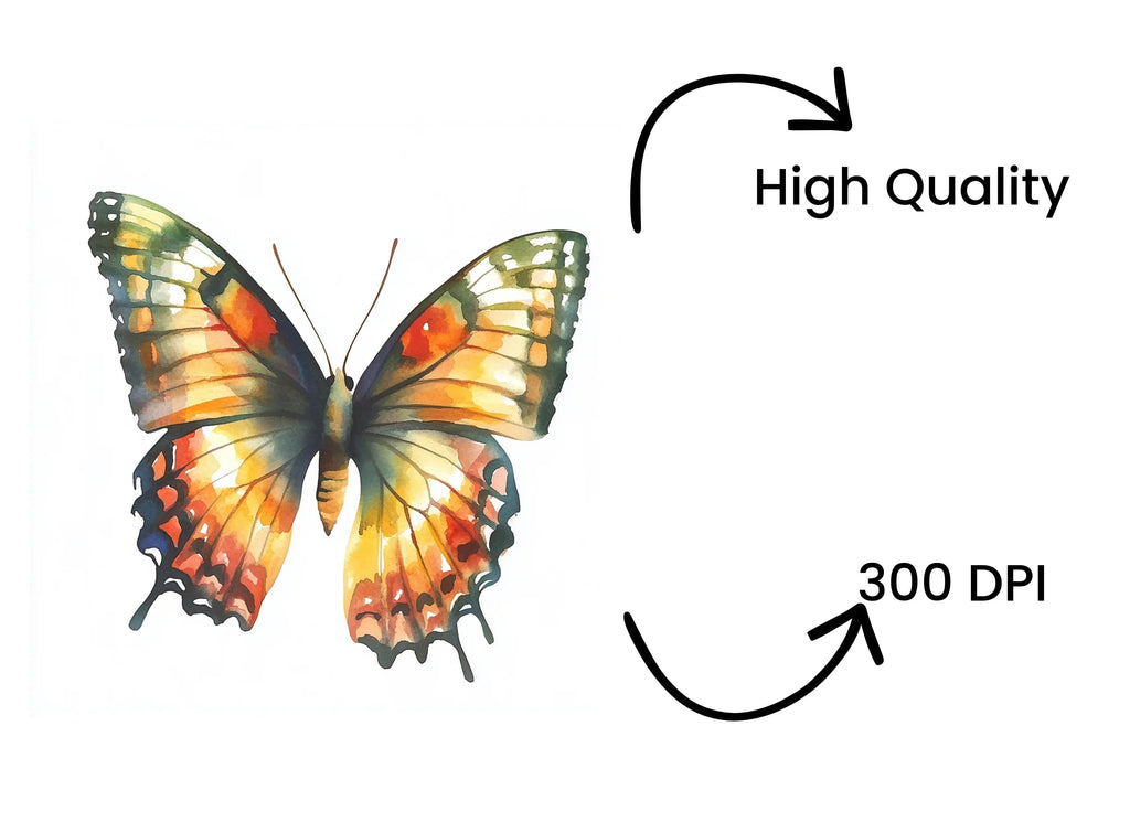 Colorful Butterfly Clipart Bundle