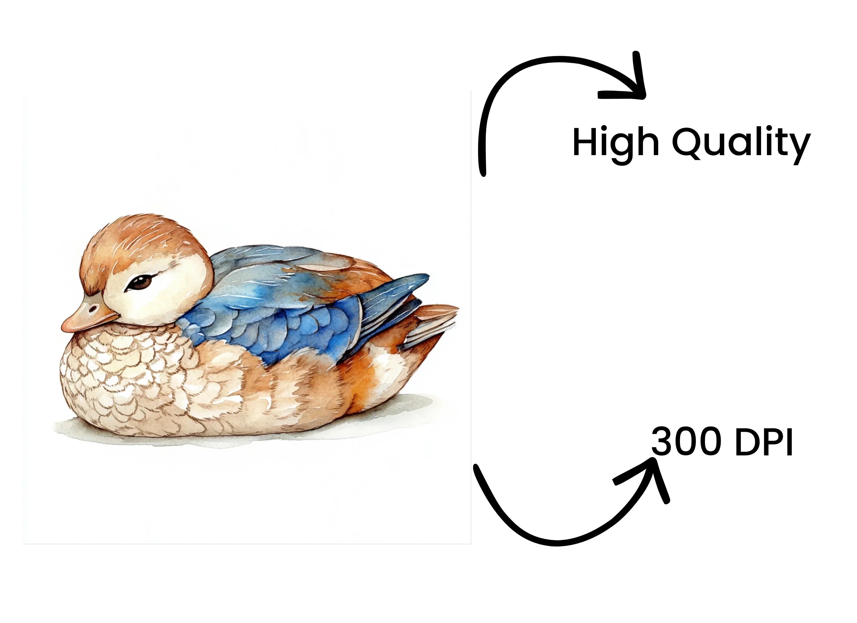 Cute Sleeping Duckling Clipart Bundle