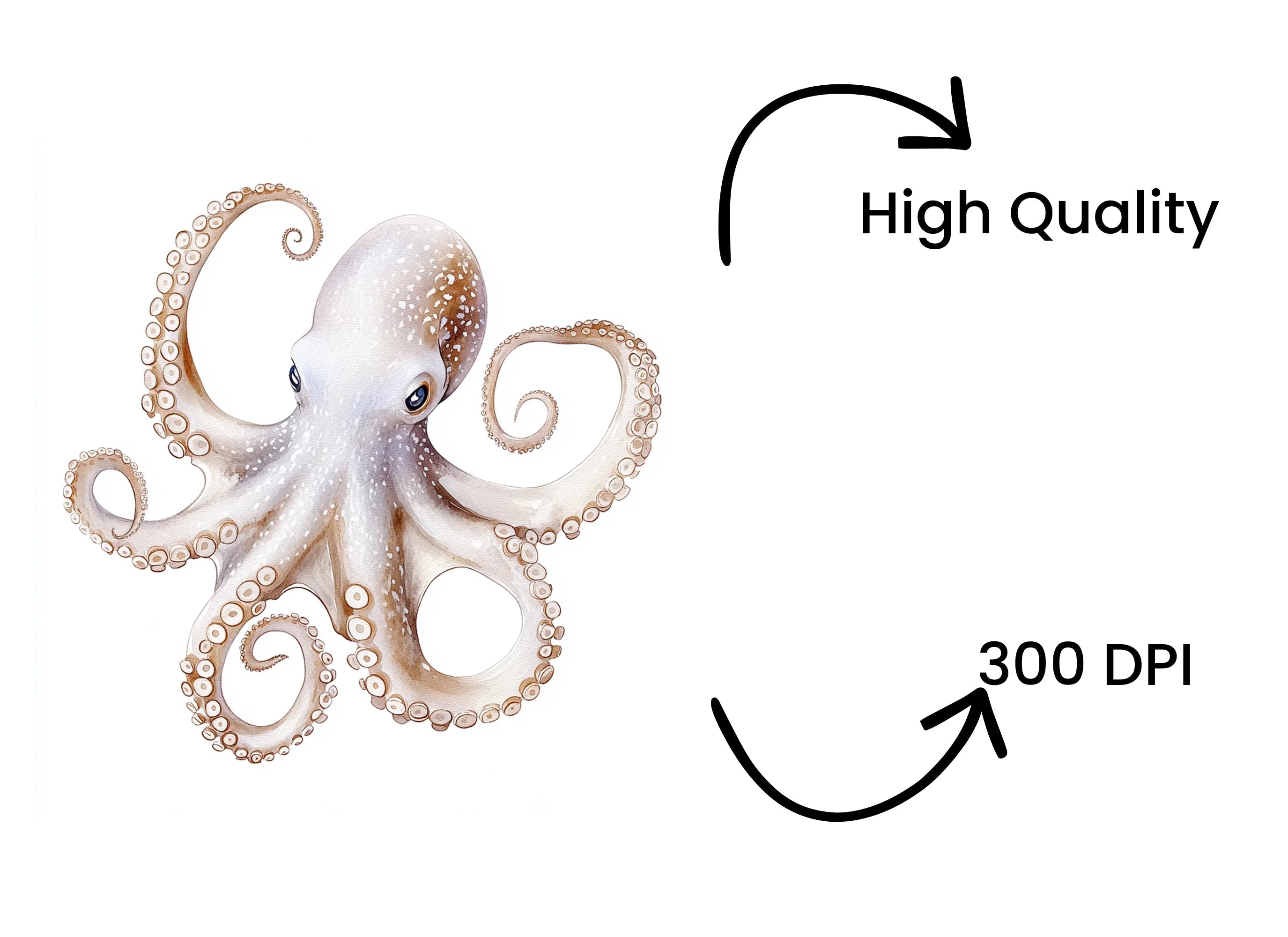 Octopus Clipart Bundle
