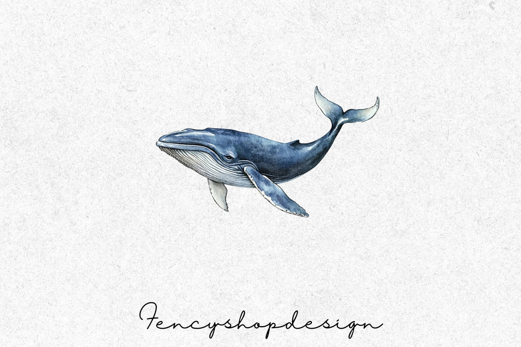 Majestic Whale Clipart Bundle