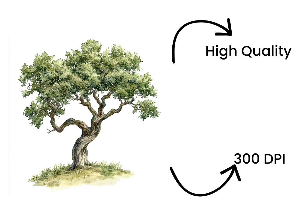 Trees Clipart Bundle