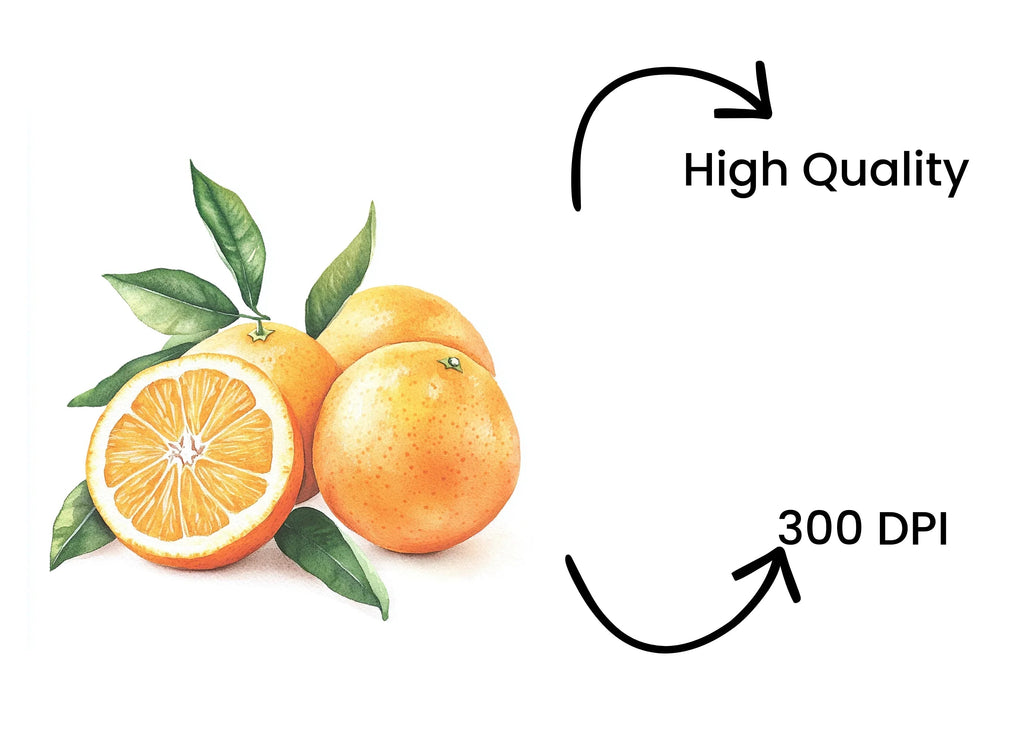 Whole and Sliced Oranges with Leaves Clipart Bundle