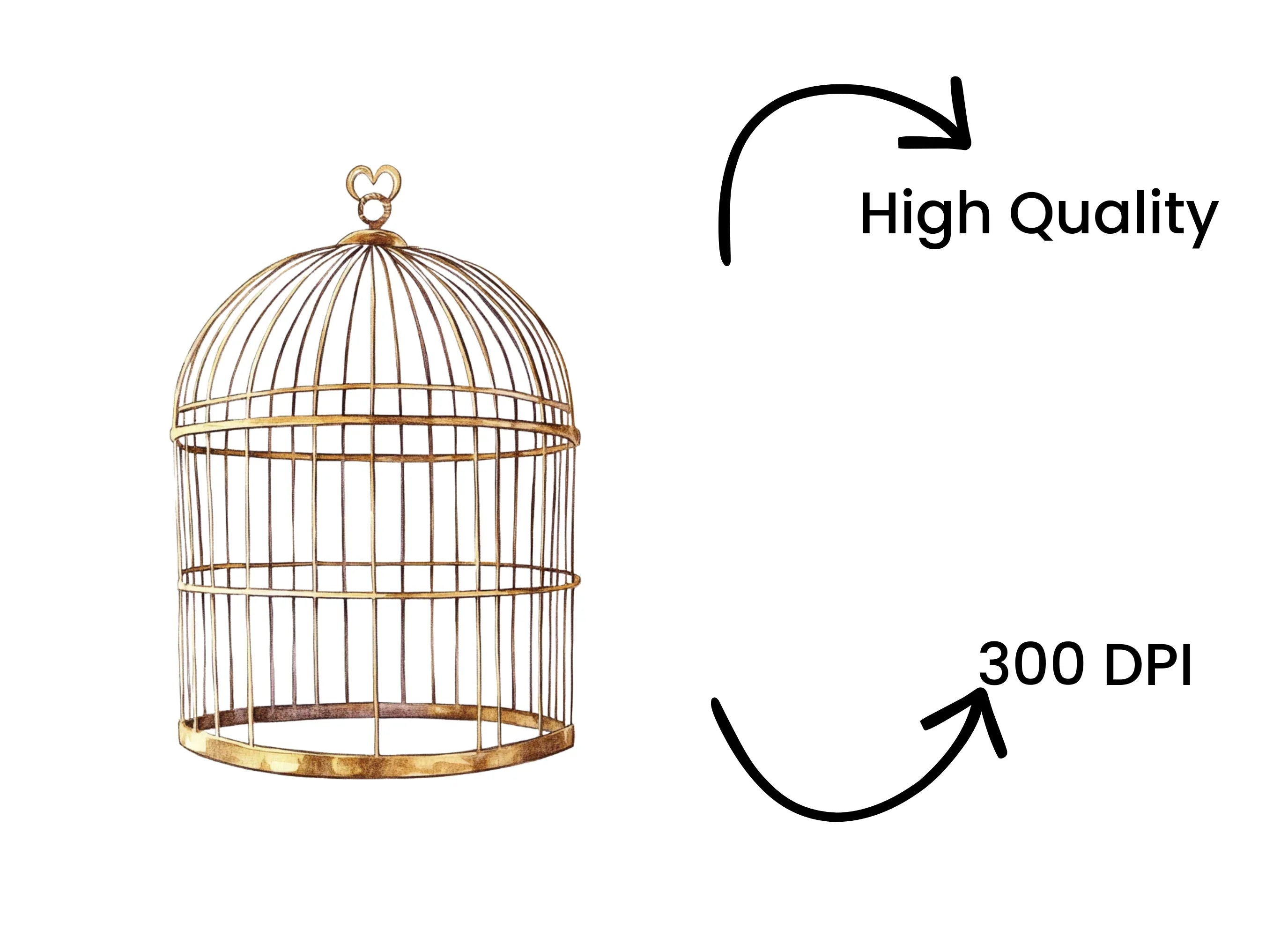 Vintage Bird Cages Clipart Bundle