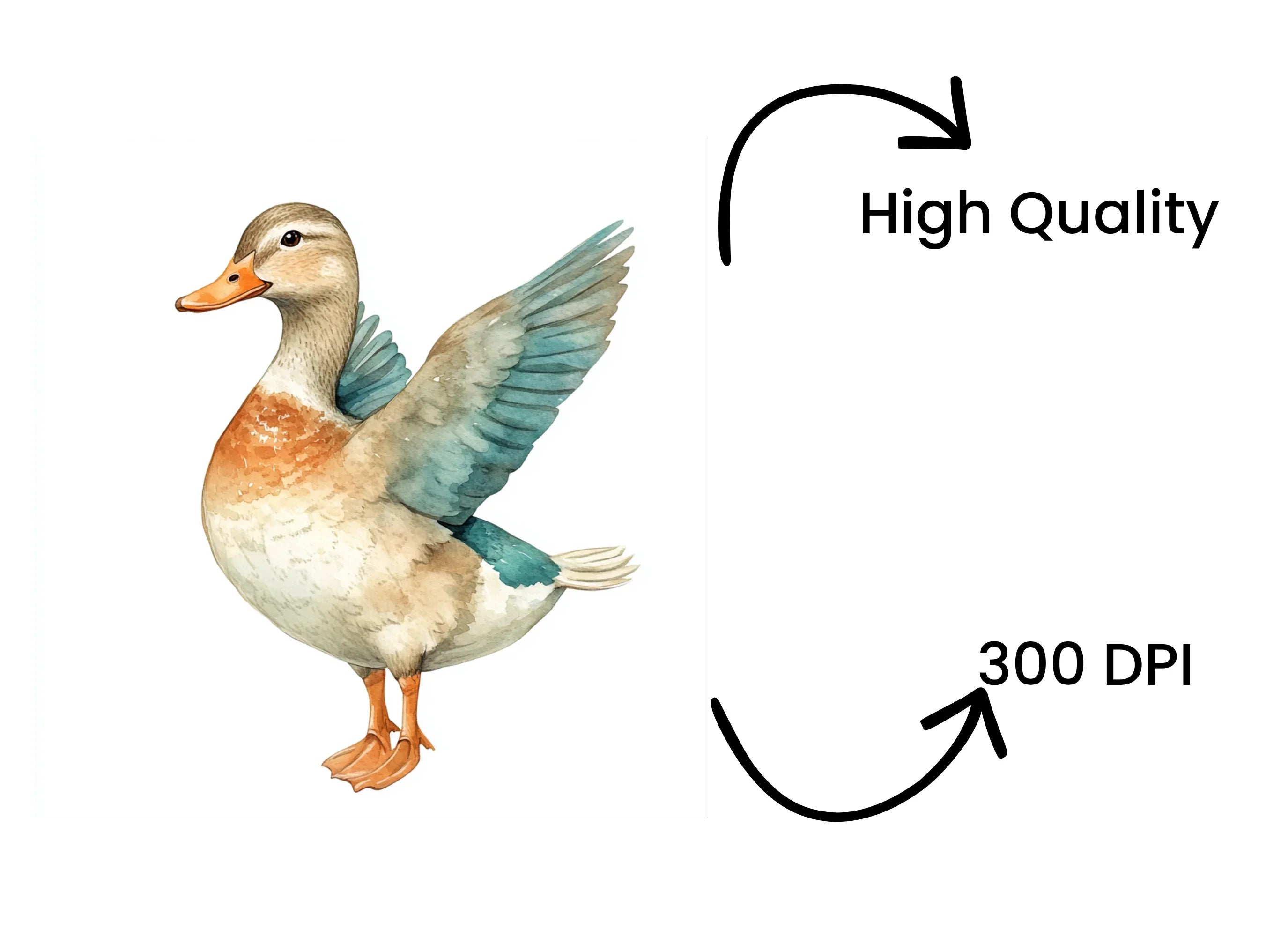 Cute Duckling Clipart Bundle
