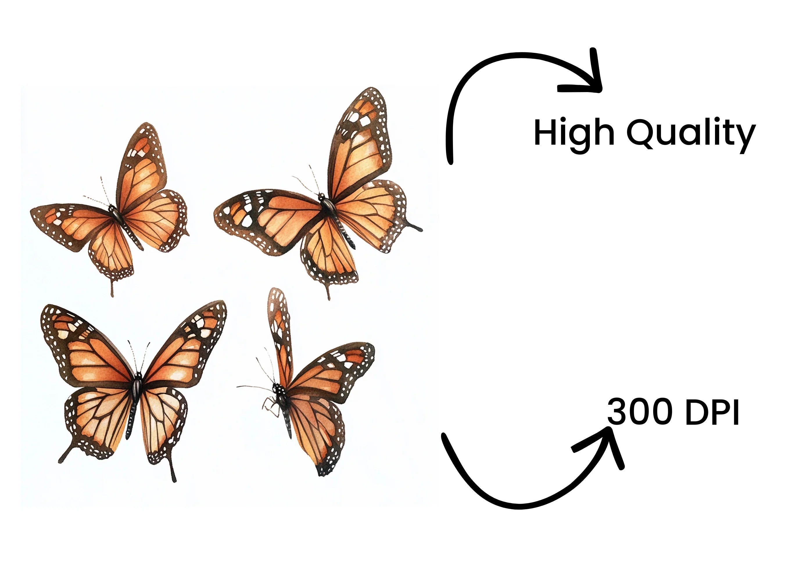 Monarch Butterfly Clipart Bundle
