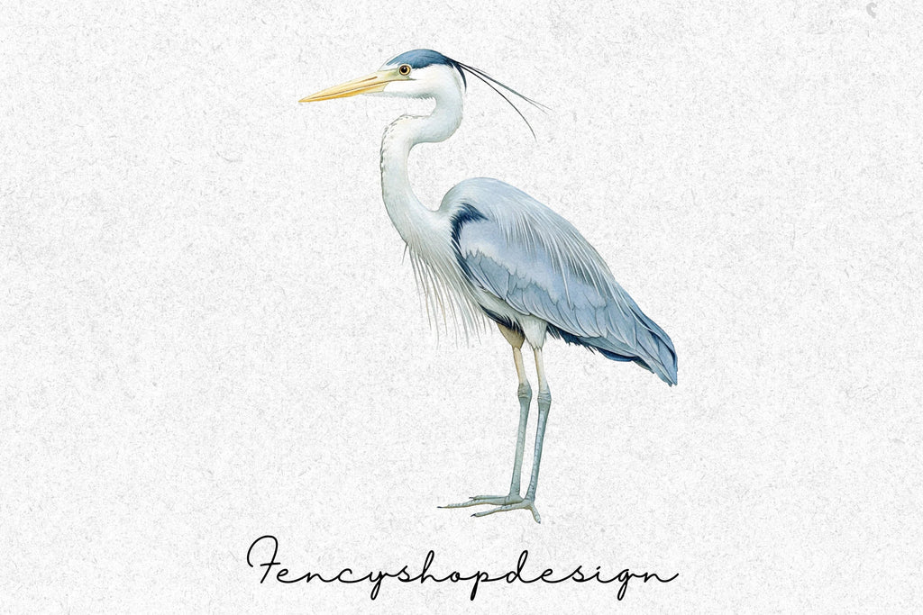 Heron Bird Clipart Bundle
