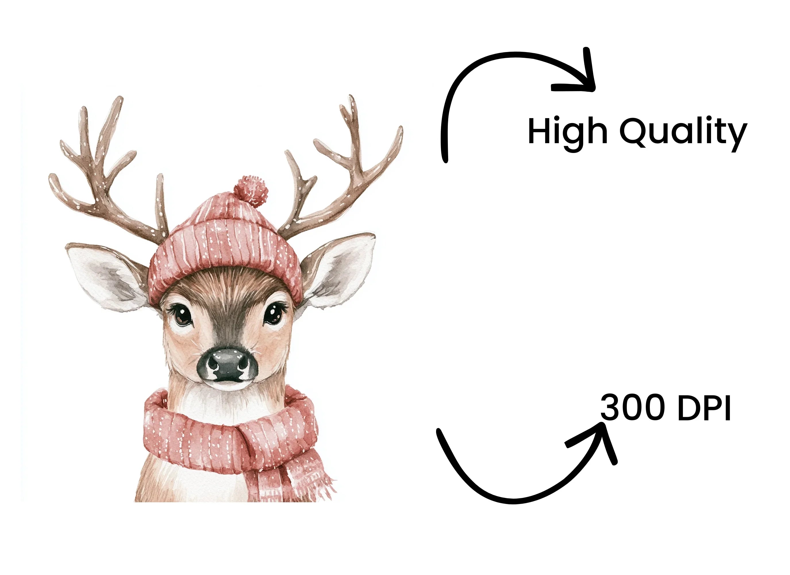 Cute Winter Deer Clipart Bundle