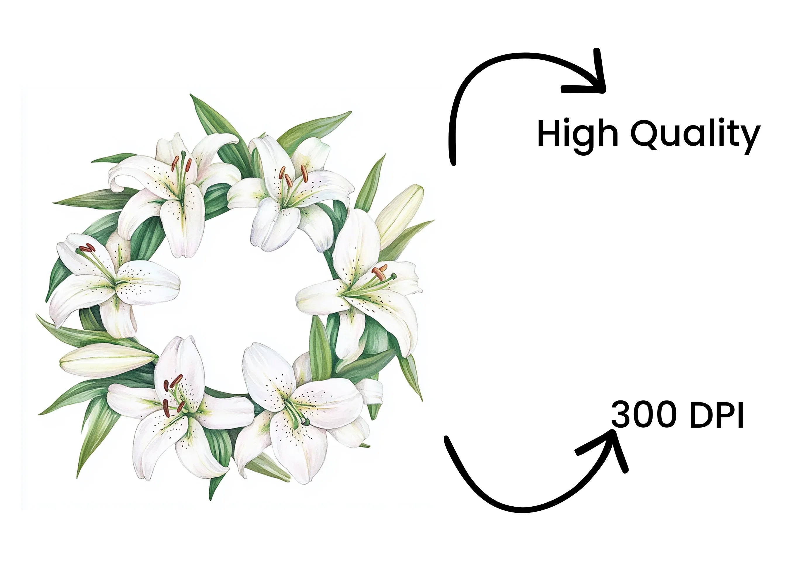 Elegant White Lily Wreaths Clipart Bundle