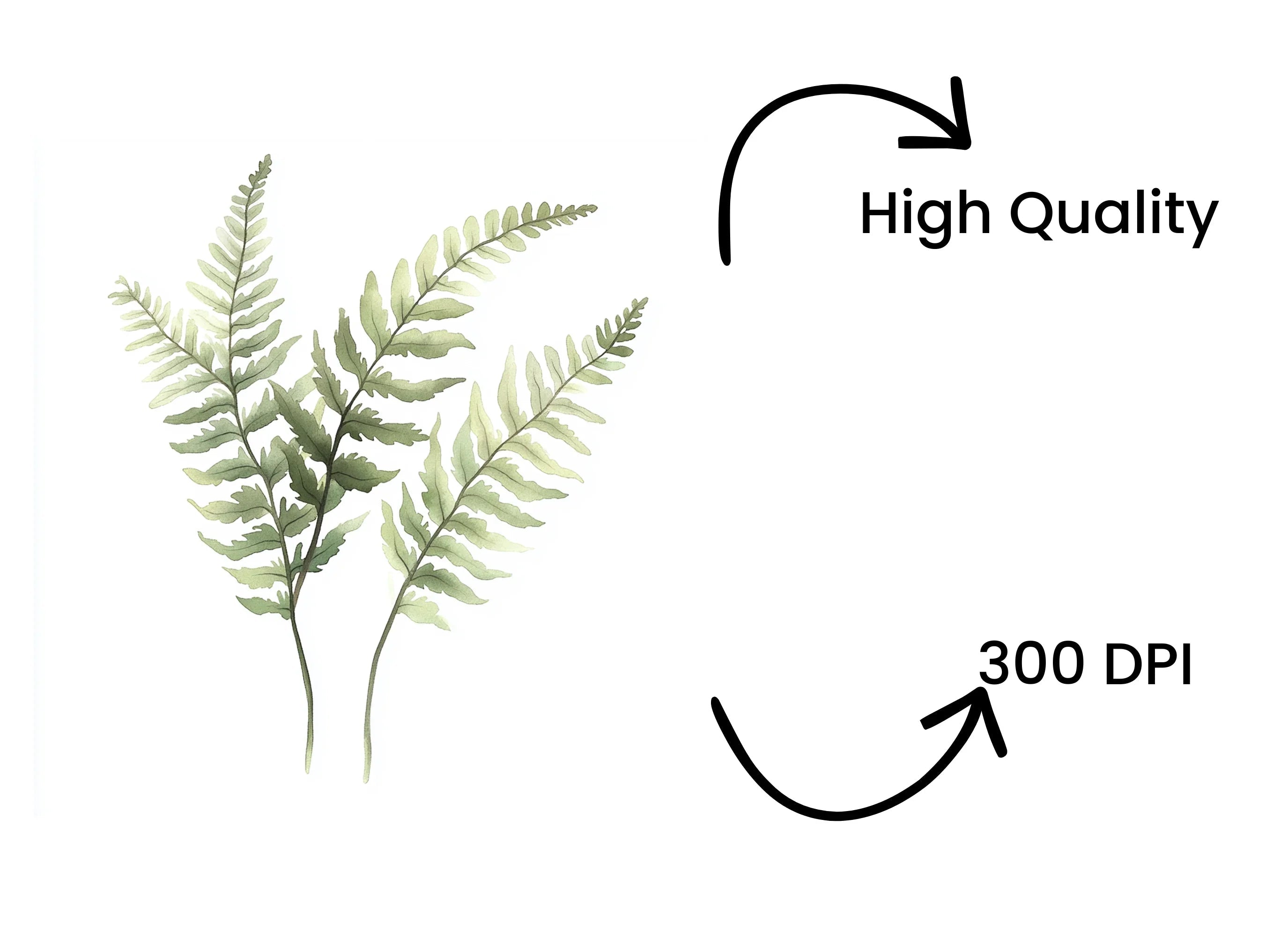 Delicate Fern Clipart Bundle