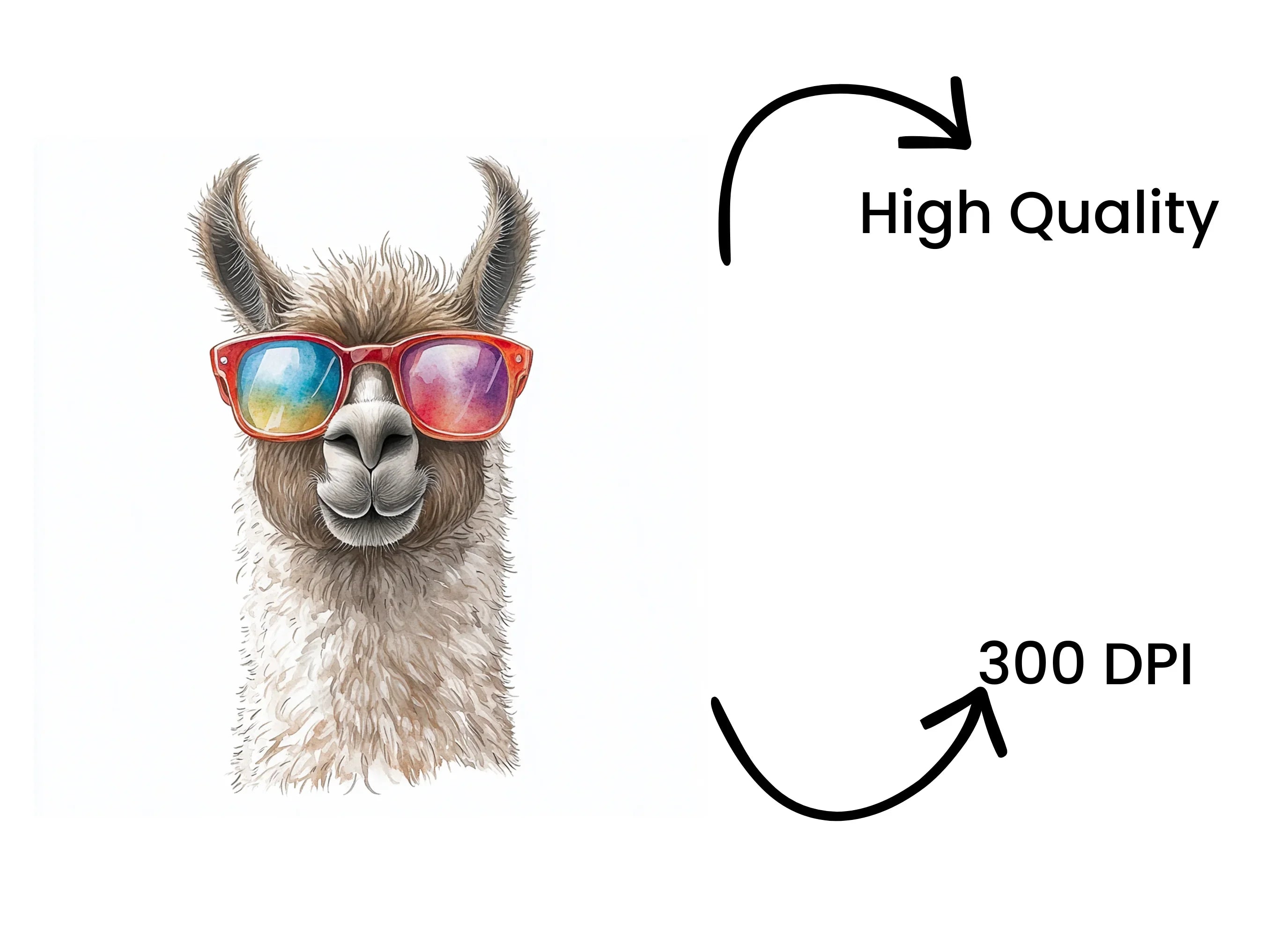 Cool Llama with Sunglasses Clipart Bundle