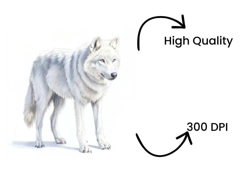 White Wolf Arctic Wolves Clipart Bundle