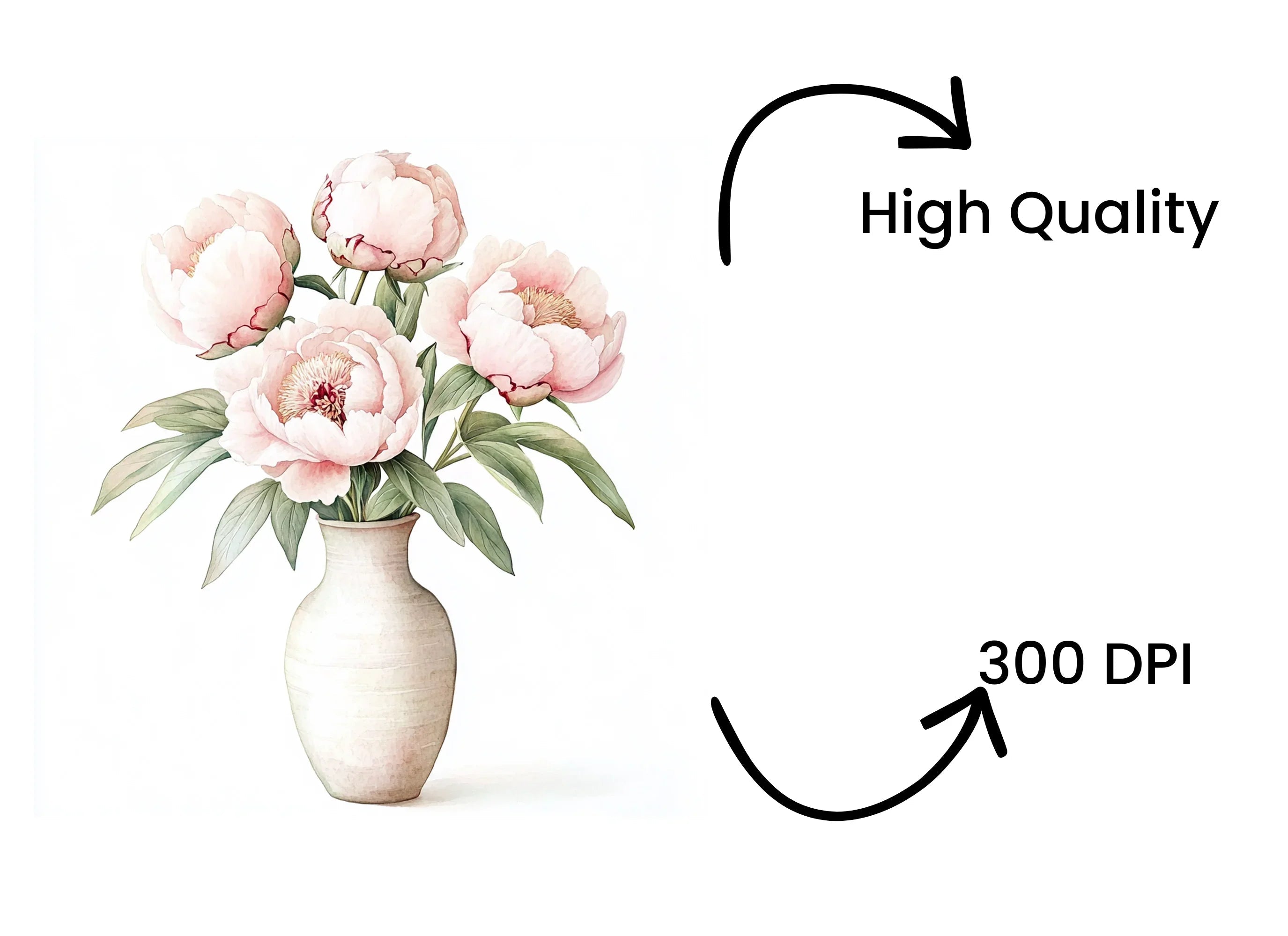 Elegant Pink Peony Bouquet Clipart Bundle