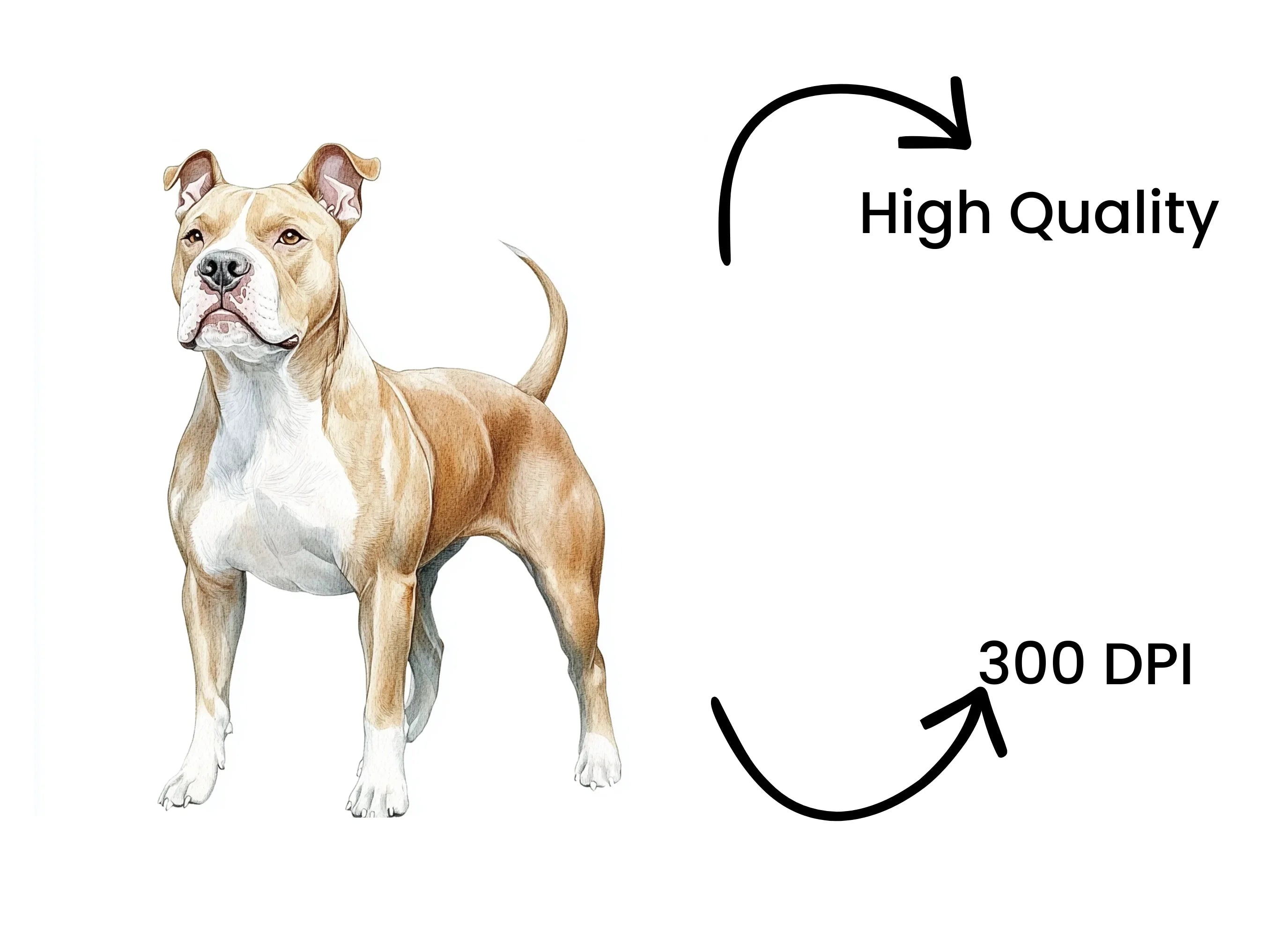 Standing Pitbull Dog Clipart Bundle