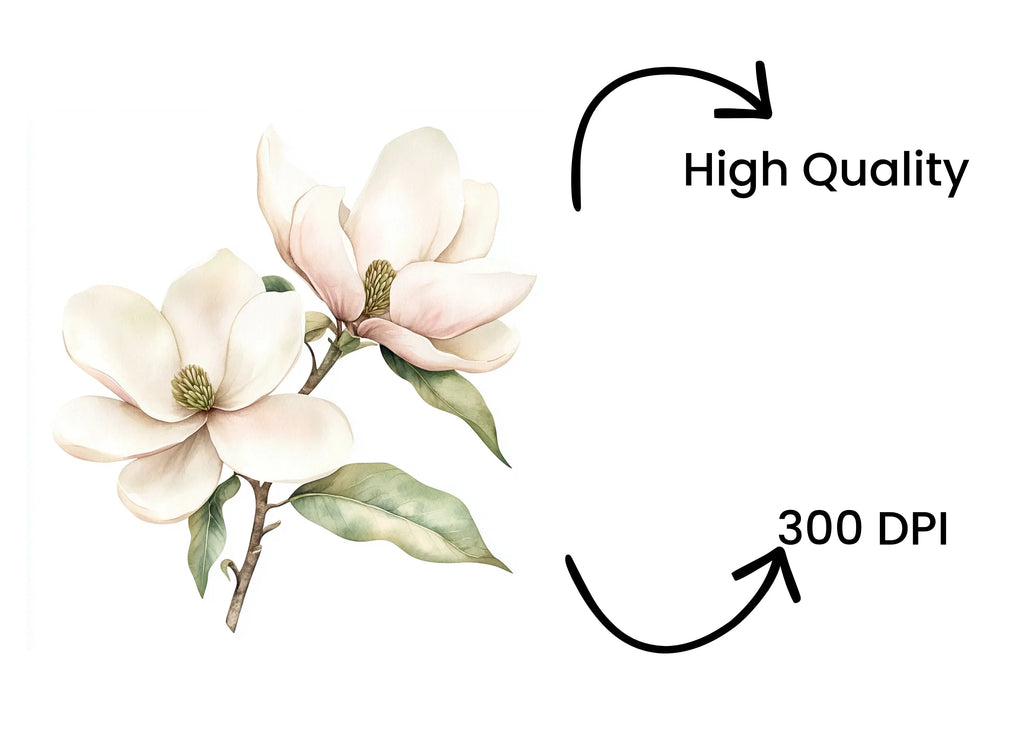 Elegant Magnolia Flower Clipart Bundle
