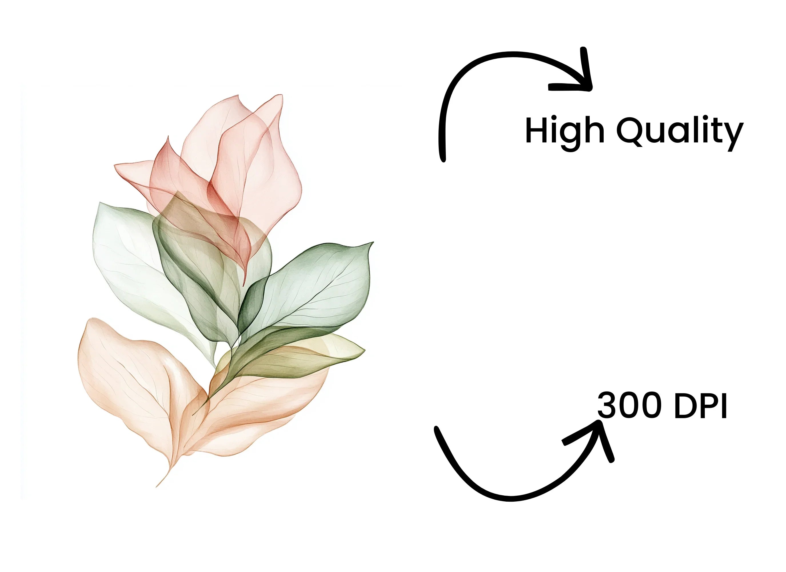 Sheer Botanical Clipart Bundle
