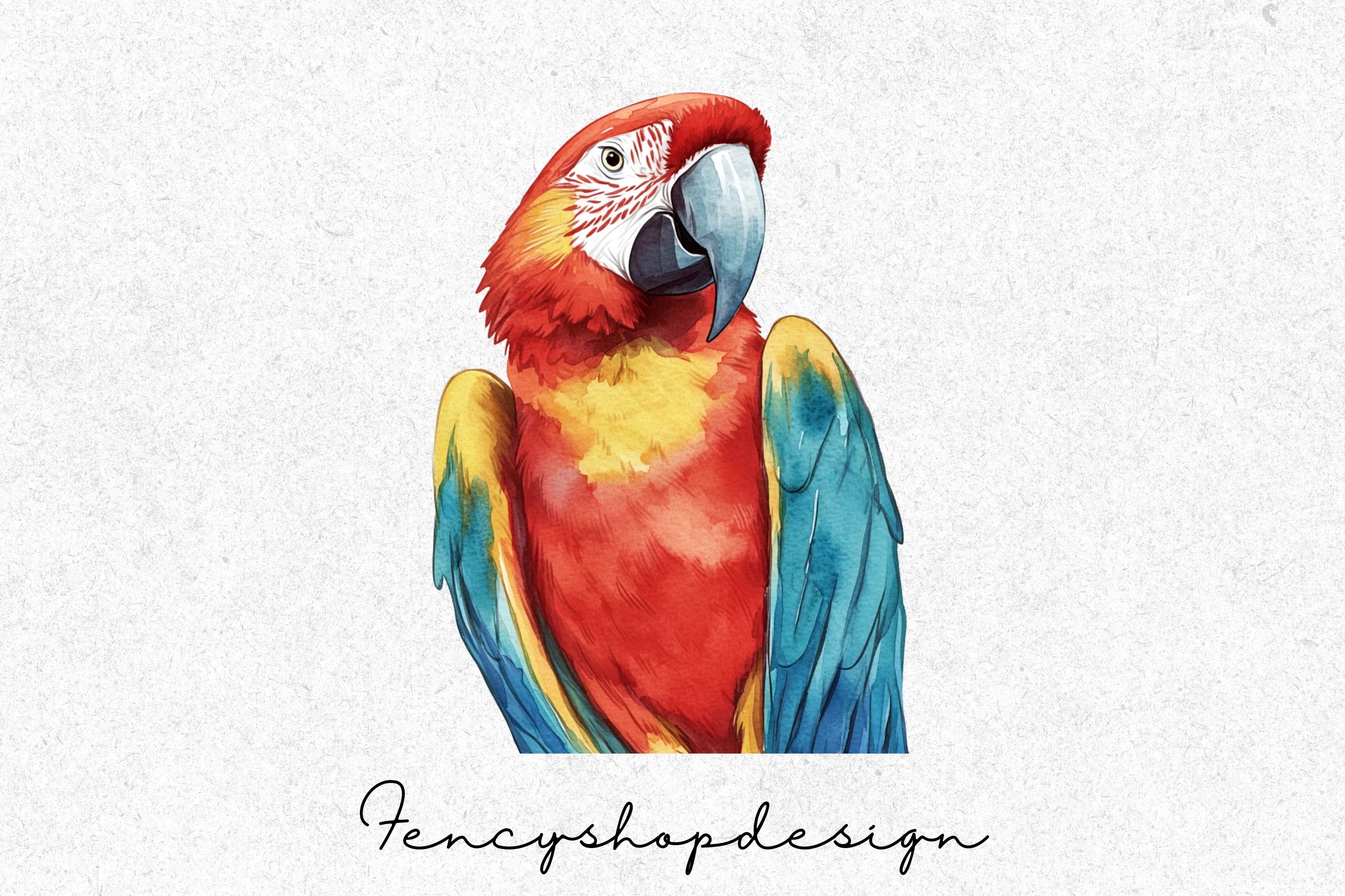 Vibrant Macaw Parrot Clipart Bundle