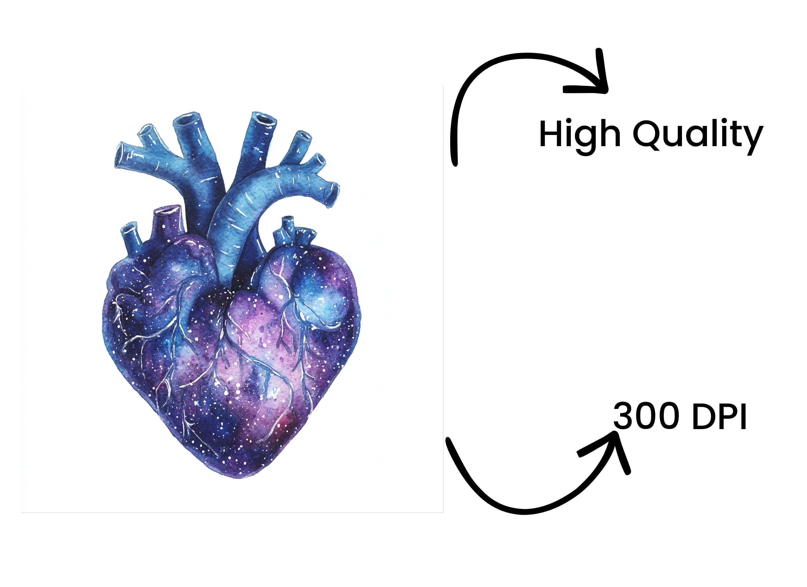 Cosmic Anatomical Heart Clipart Bundle
