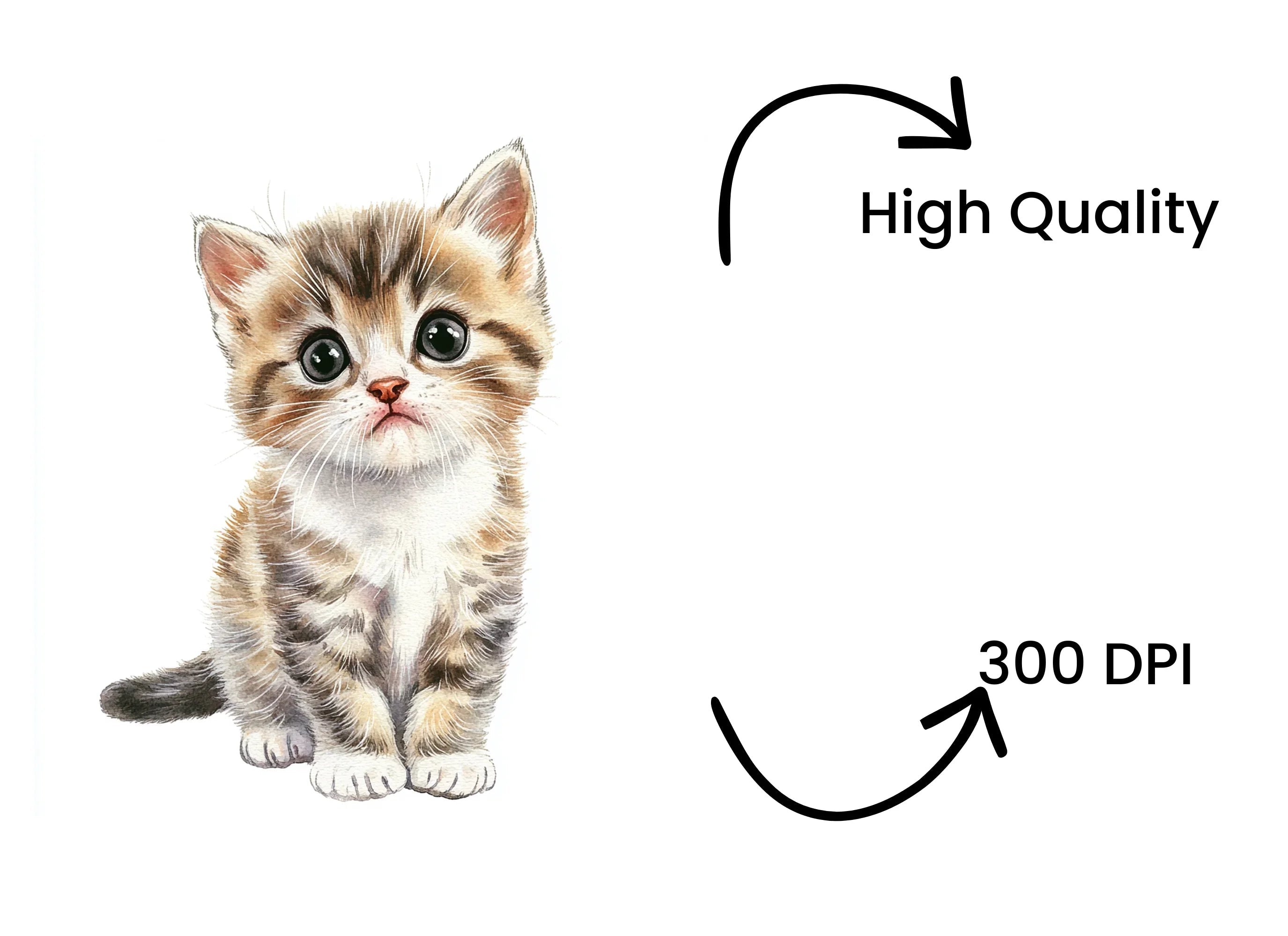 Adorable Kittens Clipart Bundle