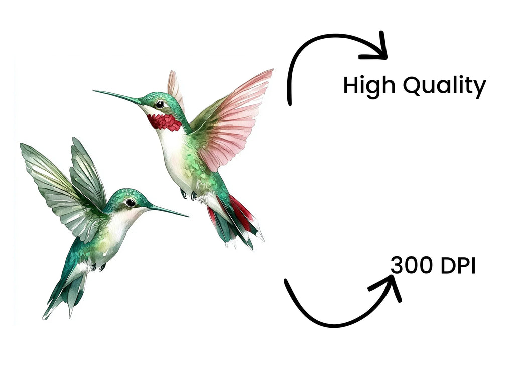 Hummingbird Pair Clipart Bundle