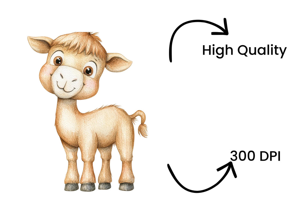 Charming Baby Camel Clipart Bundle