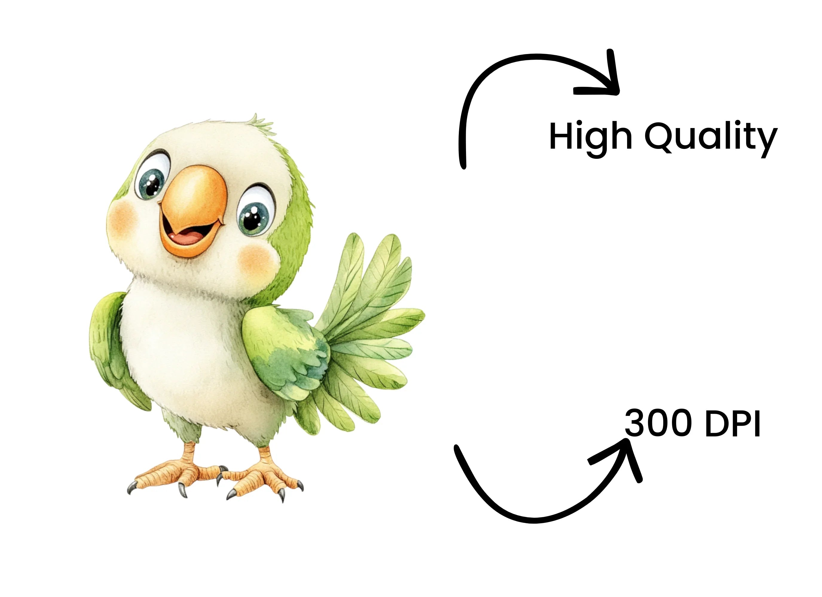 Cute Parrot Clipart Bundle