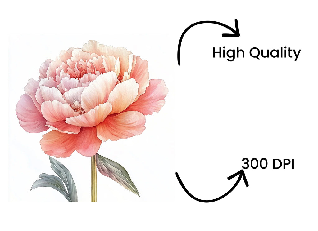 Vibrant Pink Peony Clipart Bundle
